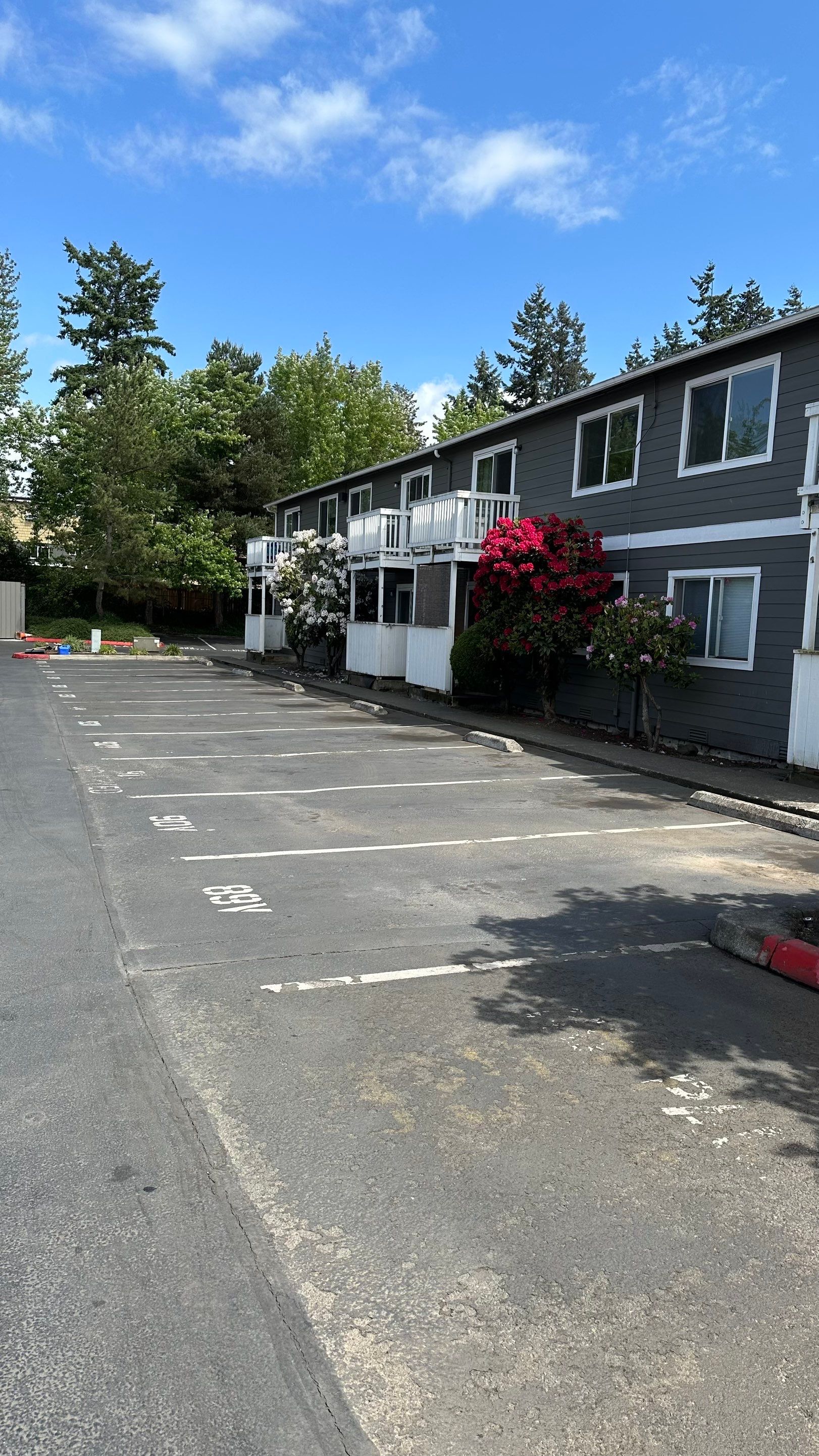 Chaz | Driveway Repave, Asphalt Project  by Jireh Asphalt & Concrete Inc 