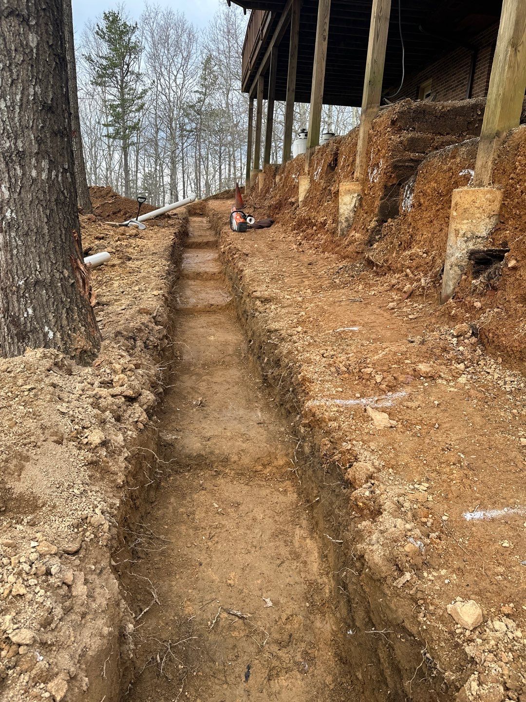 Susannah by Back To Nature Landscaping & Construction