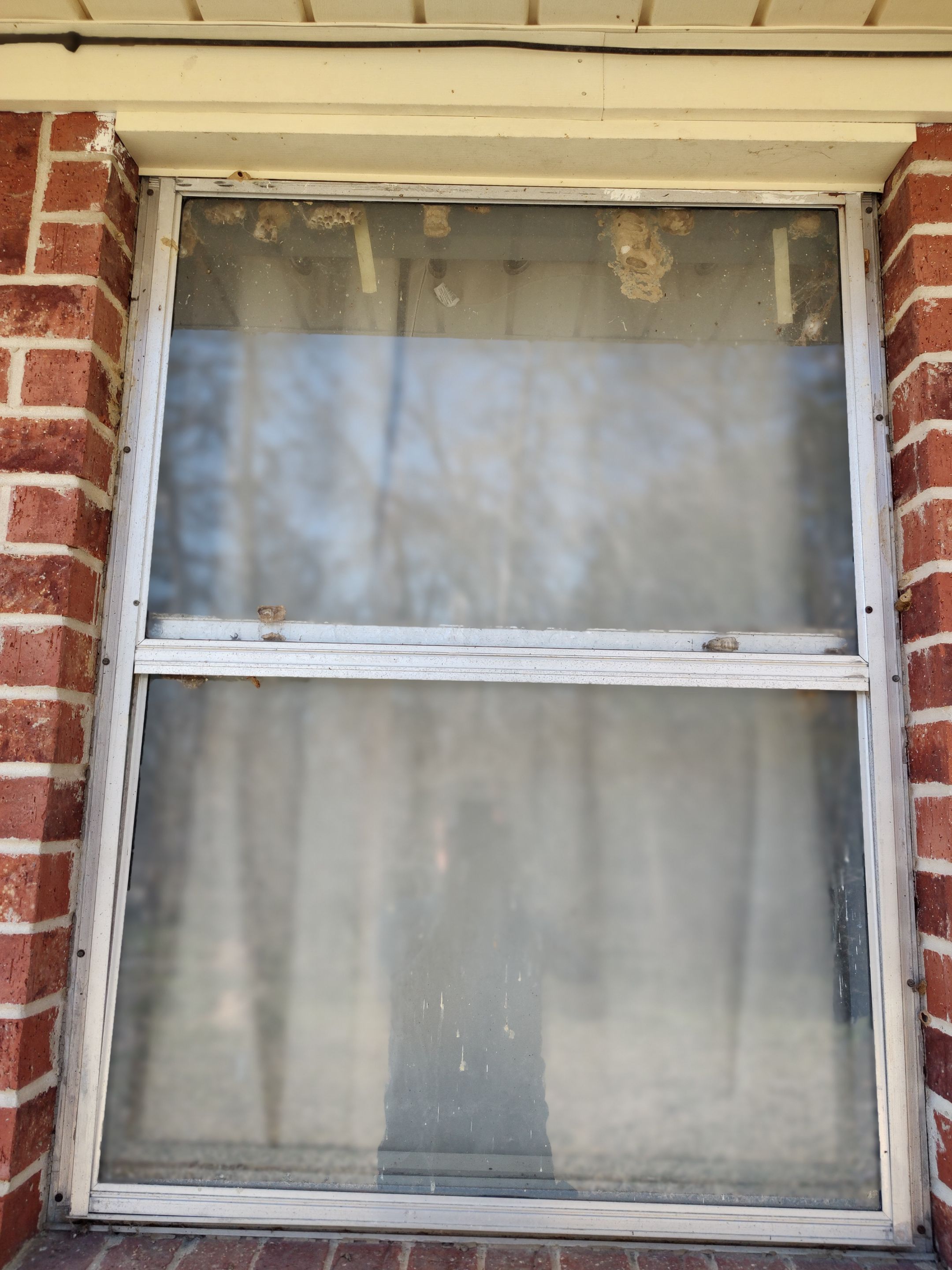Window Installation using WeatherBarr Windows by In & Out Construction & Remodeling, LLC