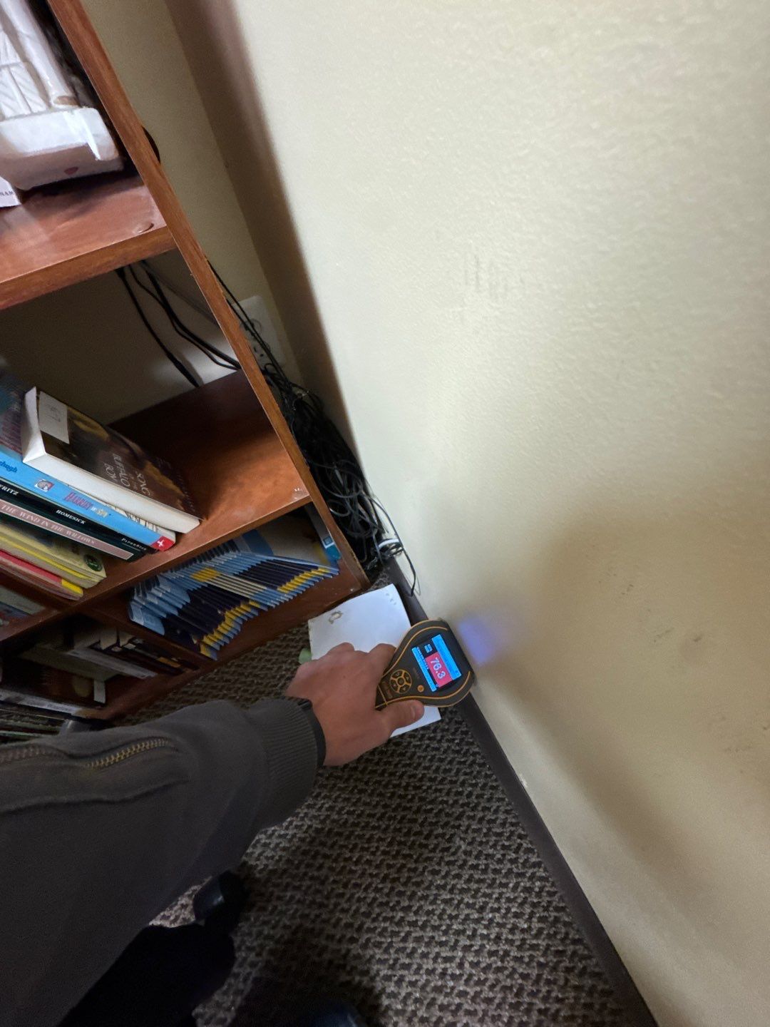 Project in Commerce Twp by EzDry Water Mitigation & Property Restoration