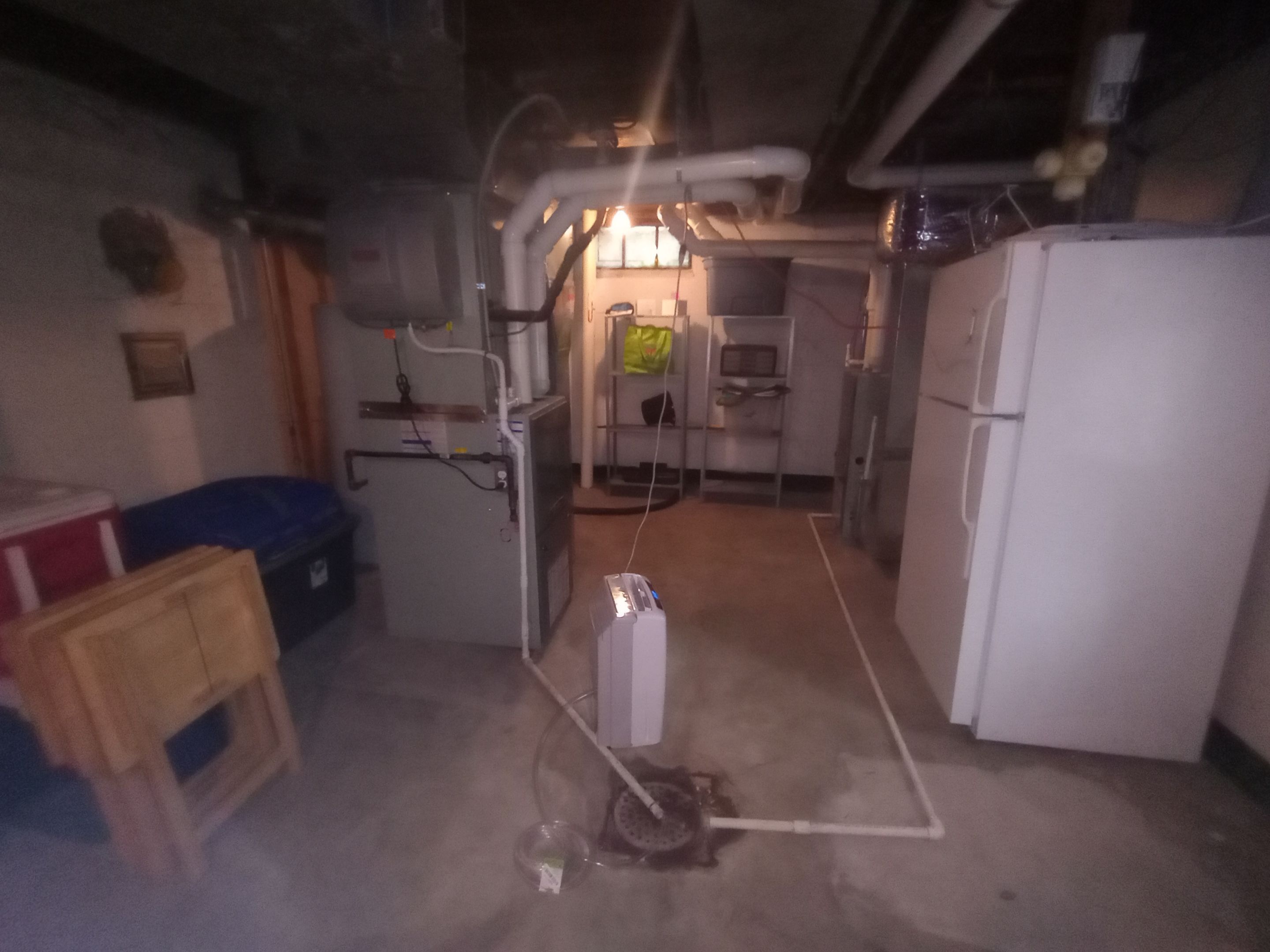 Mold Removal in Louisville, KY by ANR Restoration