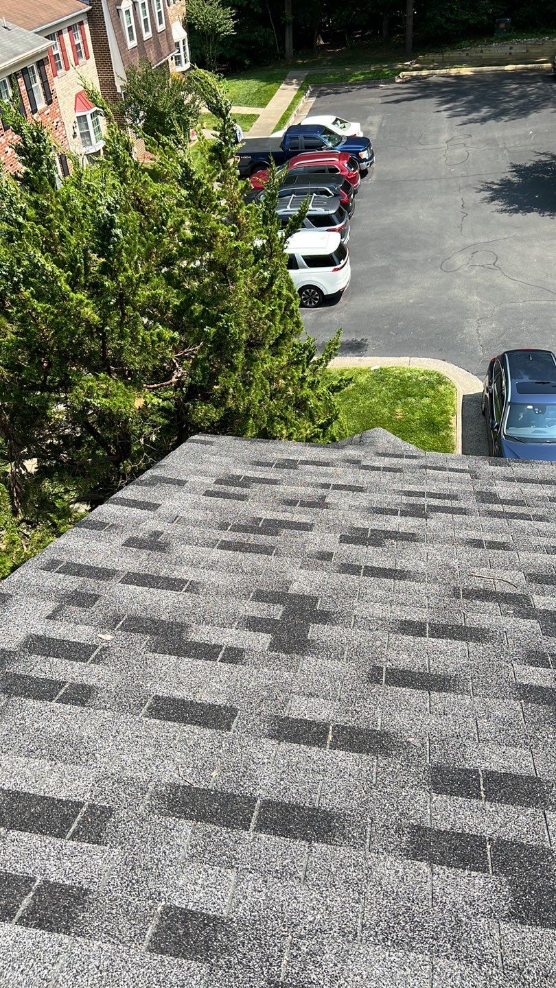 Reston: CertainTeed Landmark Pro Architectural Shingles in Max Def Moire Black by RM Banning, Inc.