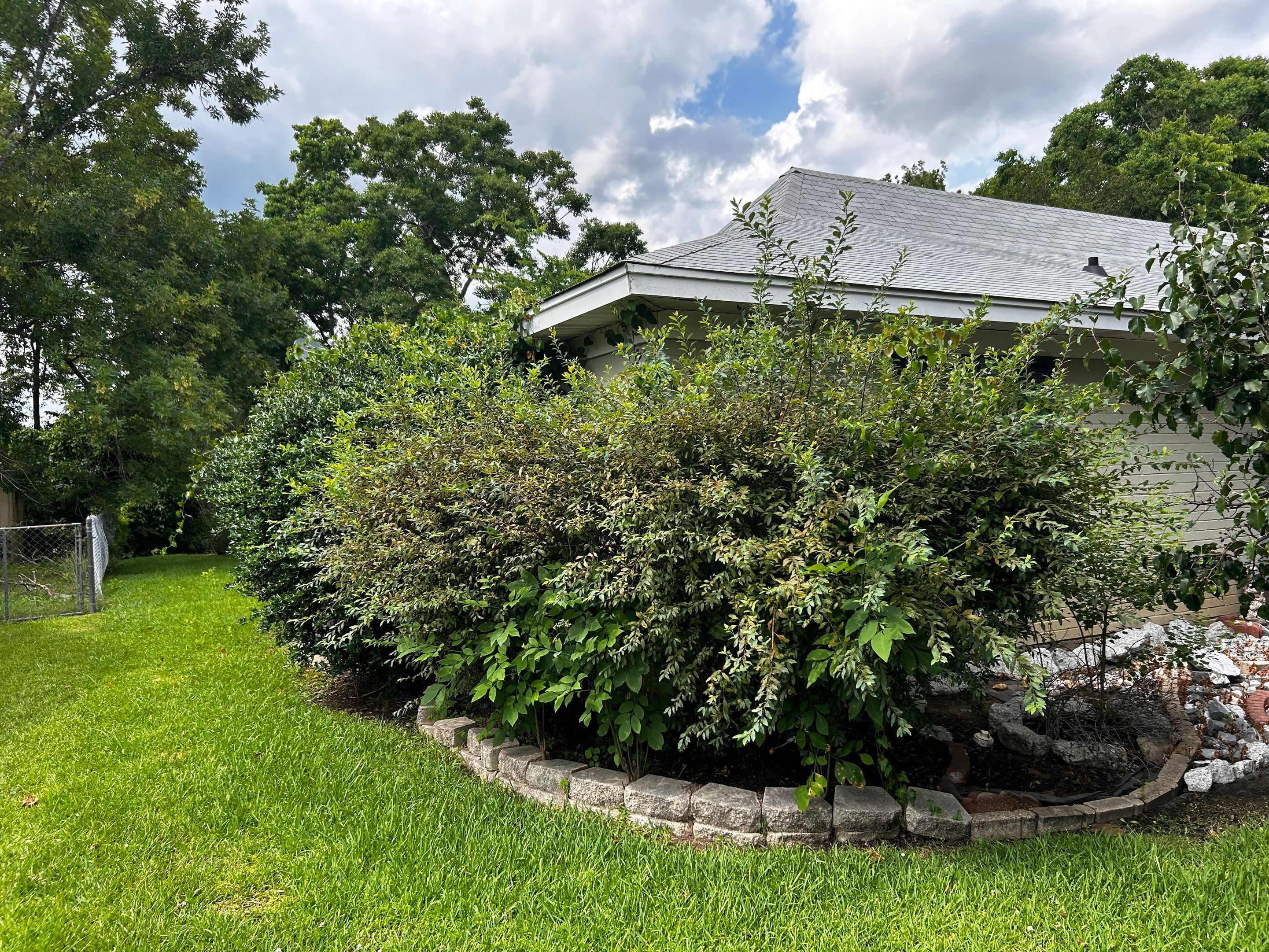 Tree And Hedge Trimming by College Bros Outdoor services