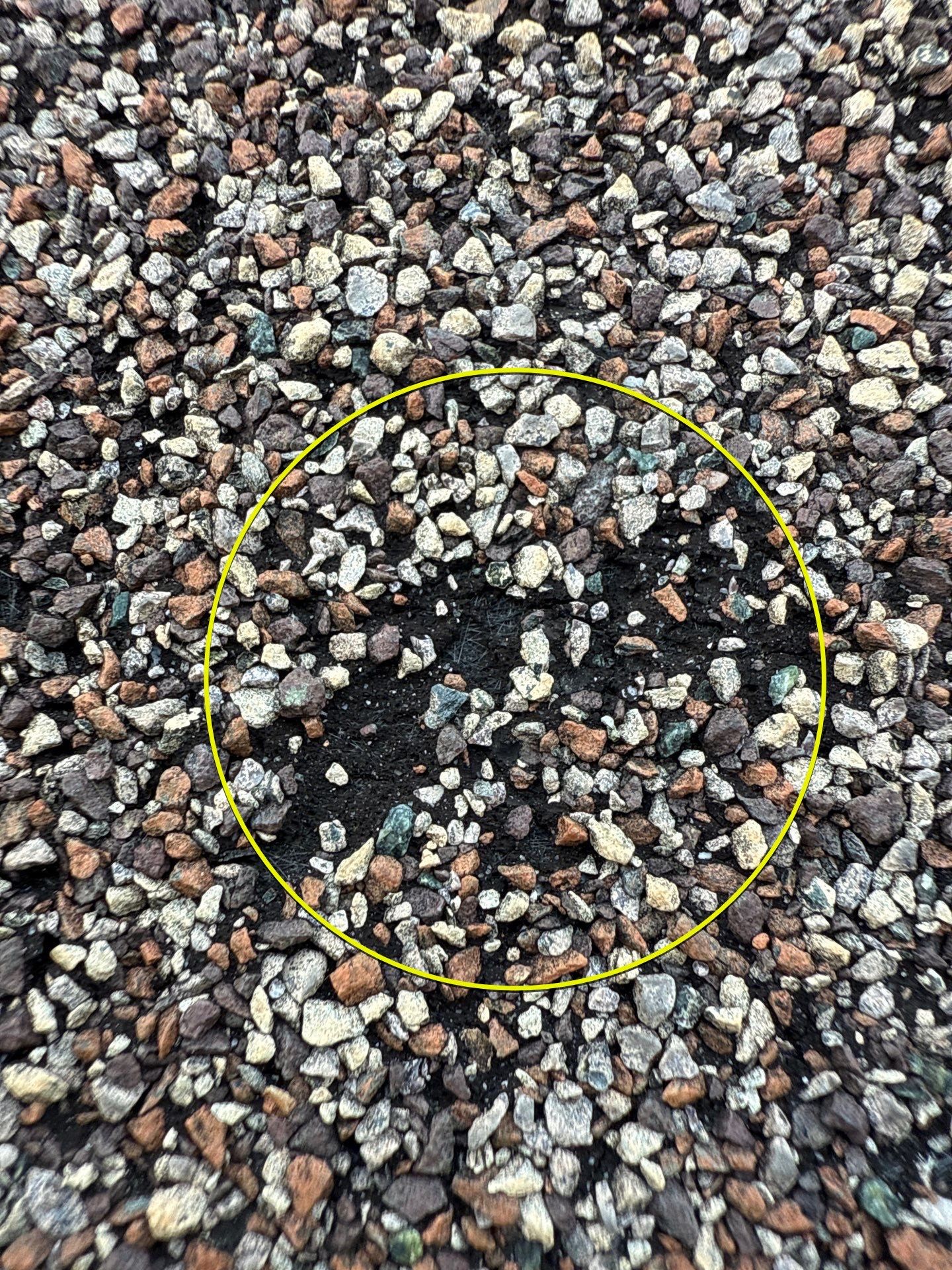 Project in Midlothian by Roof Maxx of Midlothian