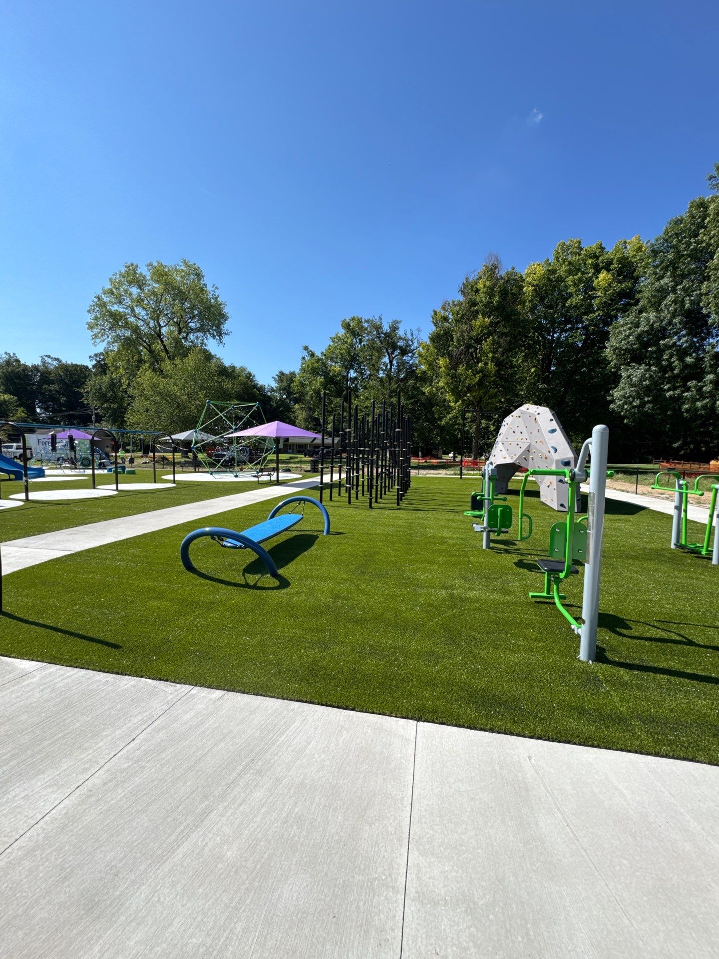 Lou Dennis Playground Grass by ForeverLawn NEIN/INDY