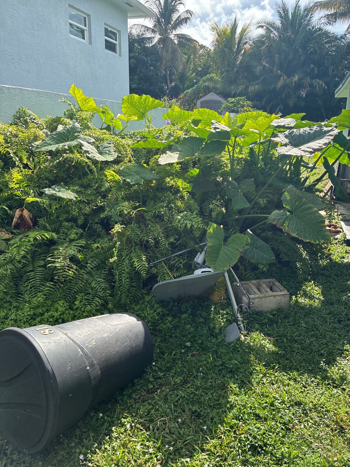 🏡 Pre-Sale Property Cleanup in Old Palm City, FL by Alpha Zeta Enterprises Inc