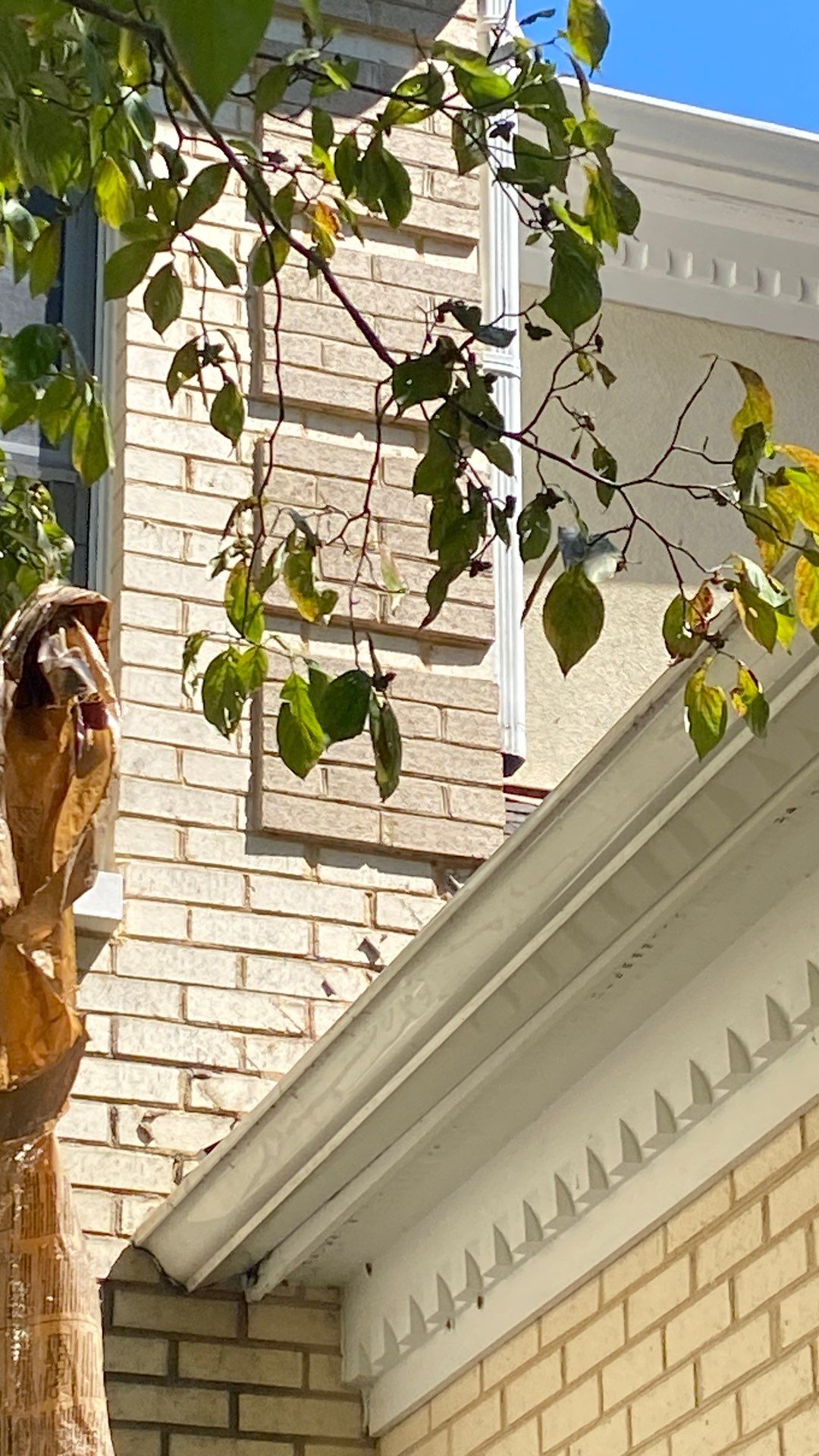 Fairfax station: Residential Roof with CertainTeed Landmark Pro in Max Def Shenandoah  by RM Banning, Inc.