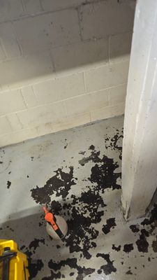 Project by BlueRed Restoration