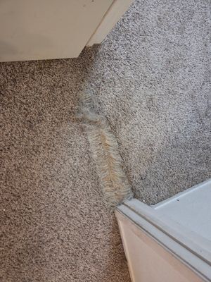 Move-Out Carpet Repairs & Carpet Cleaning