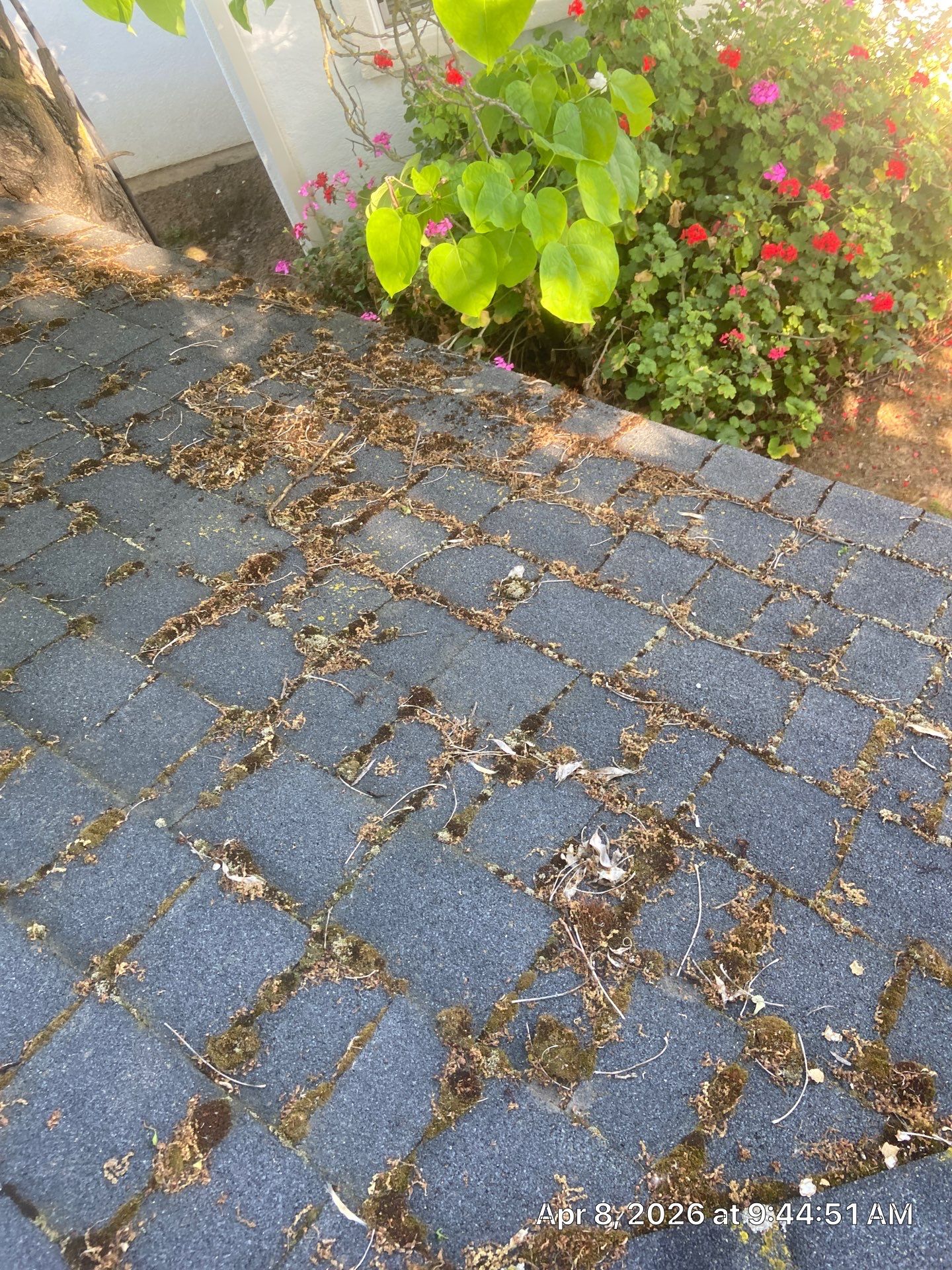 Roof Rejuvenation using Roof Maxx Treatment by Roof Maxx of Folsom