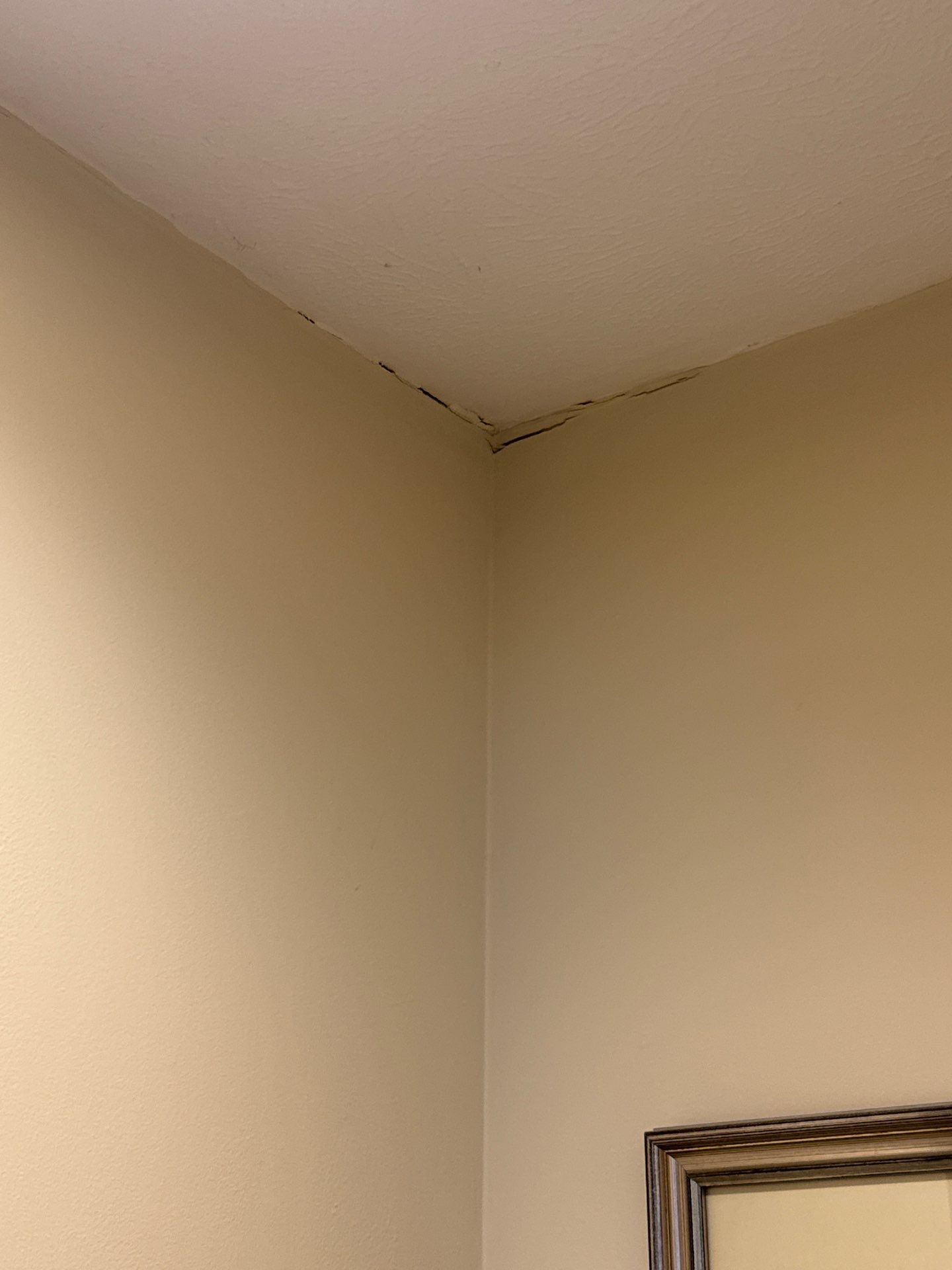 Cabinets, Walls and Ceiling Finishing by OCS Contracting Services