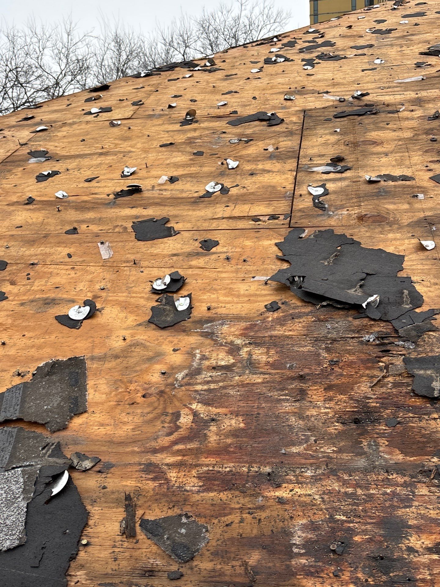 Roof Replacement Houston by Roof Repair Company