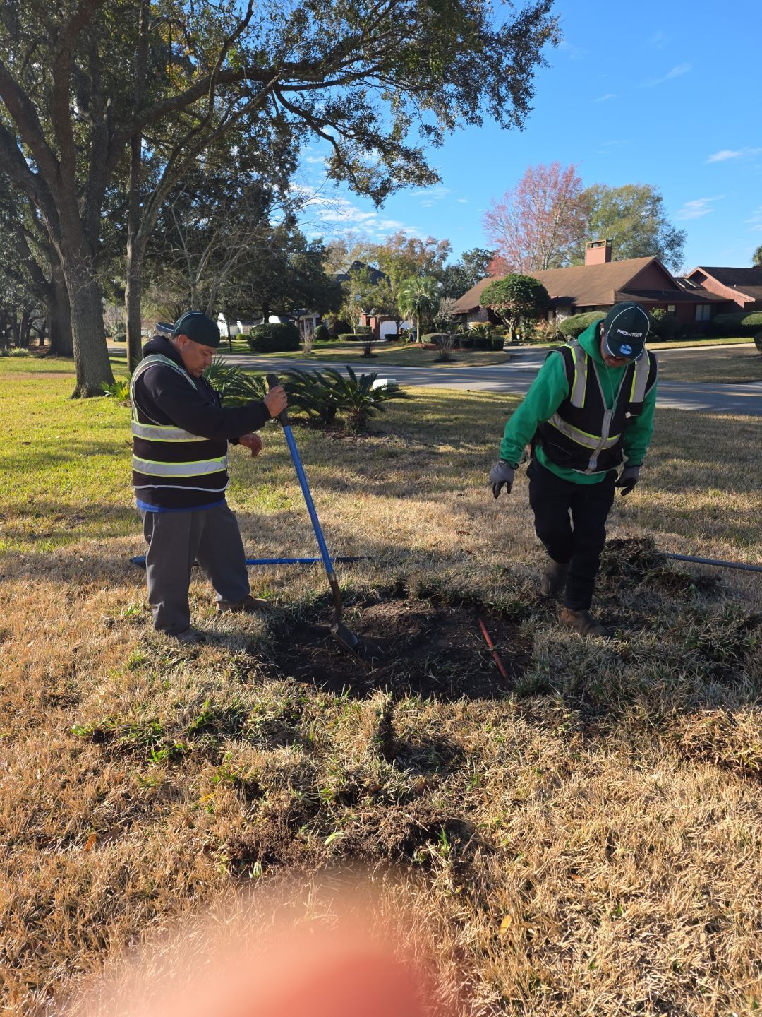 Deerwood Resident | Tree Install by ProGreen Services