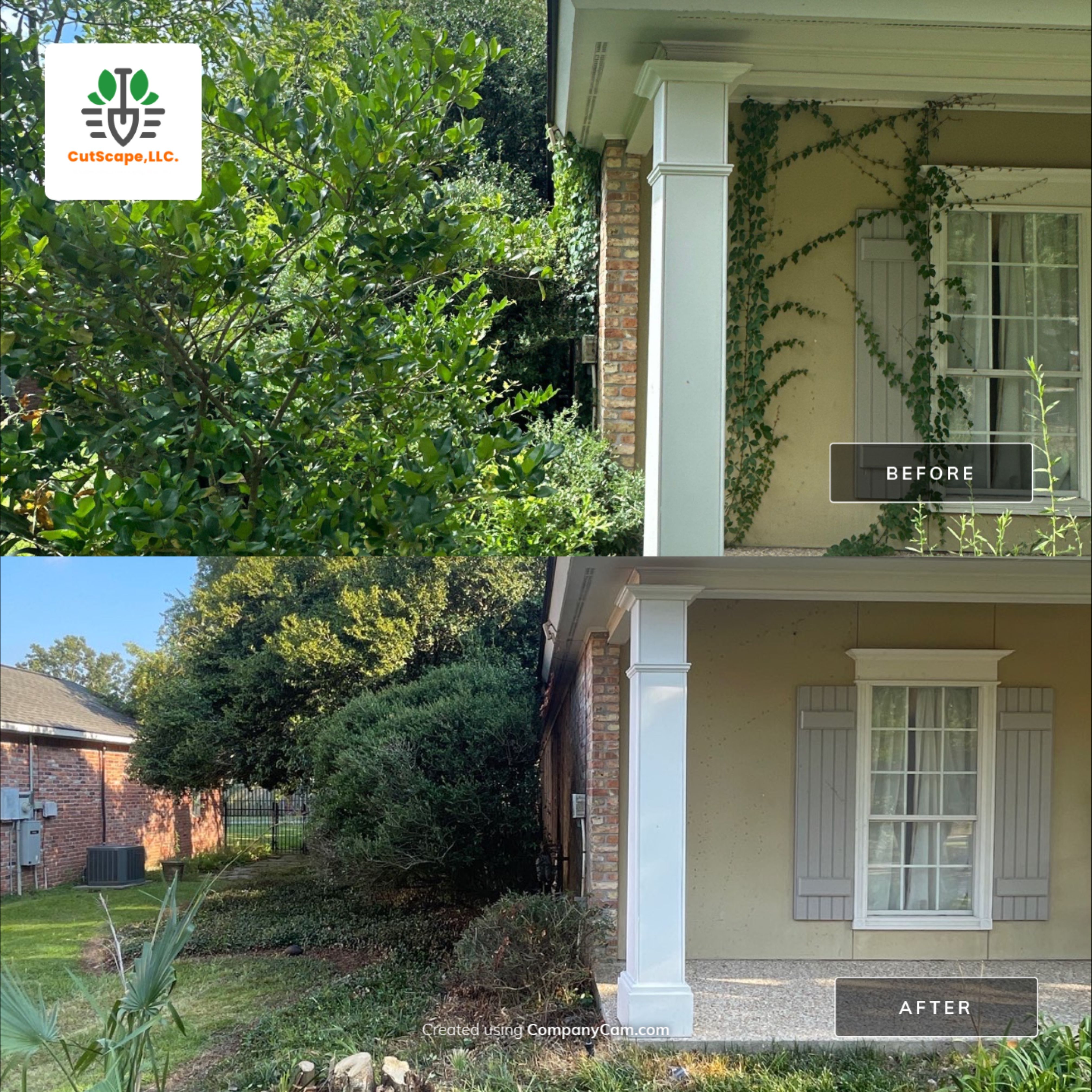 HERBICIDE / CLEAN OUT / TRIM / BRUSH DEBRIS REMOVAL by CutScape, LLC.