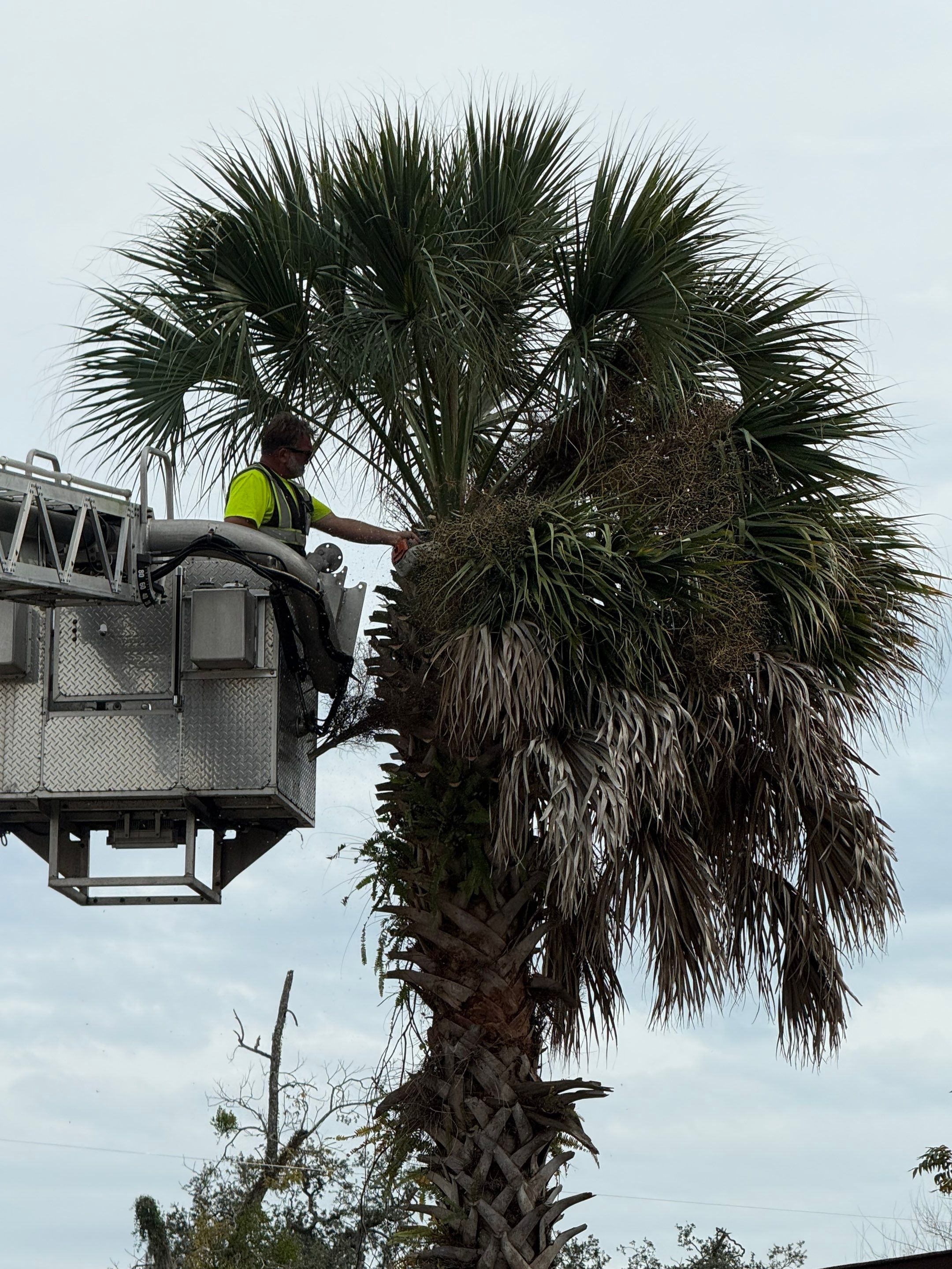 Volunteer Work | Episcopal High School of Jacksonville by ProGreen Services