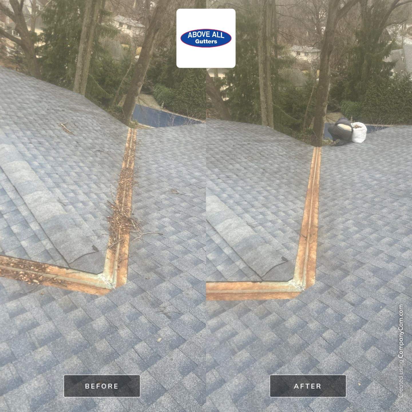 Bronx Roof and Gutter Cleaning by Above All Gutters