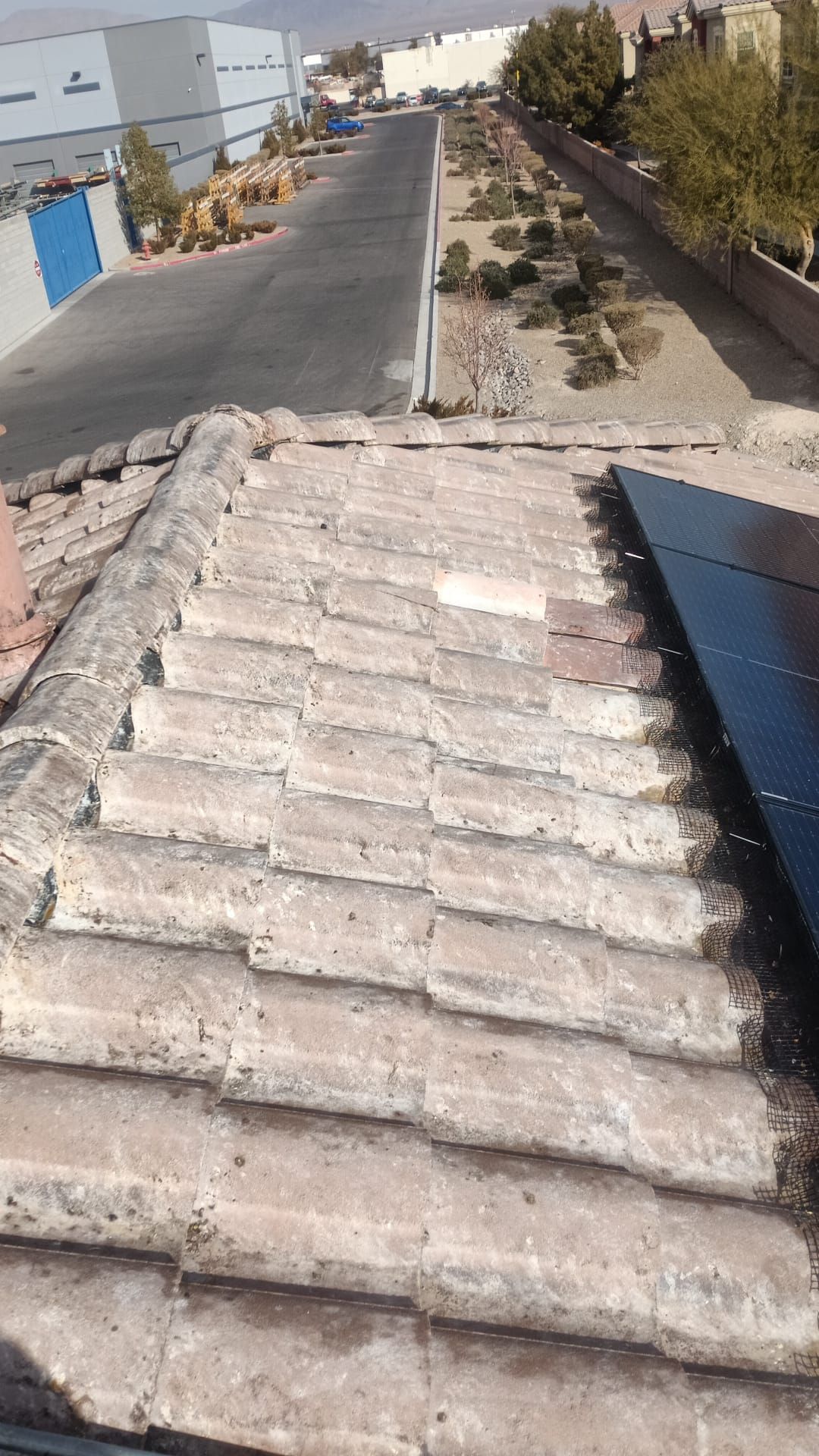 Excessive pigeon problem  by Solar Honest Cleaning 