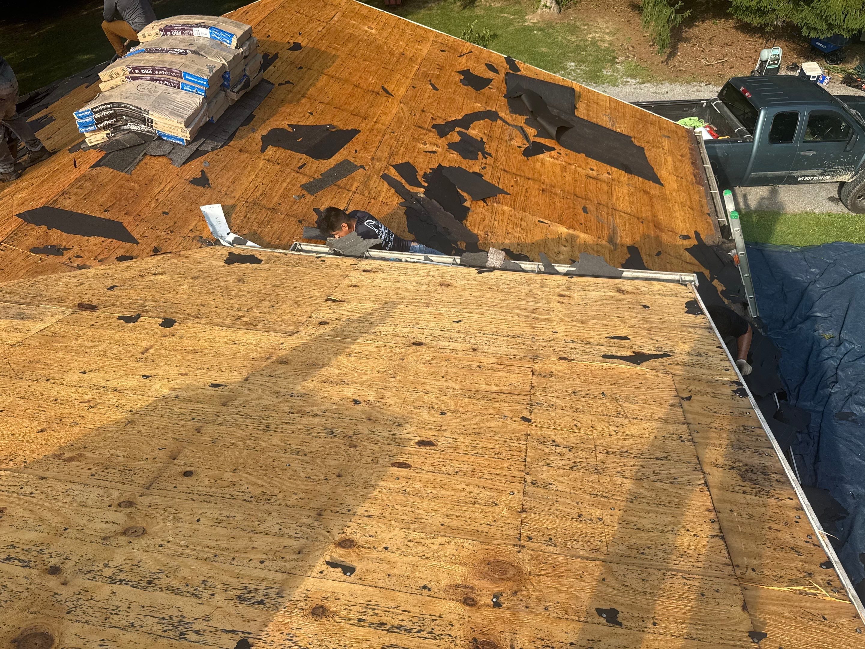 Landmark Pro - Shenandoah by Winchester Roofing