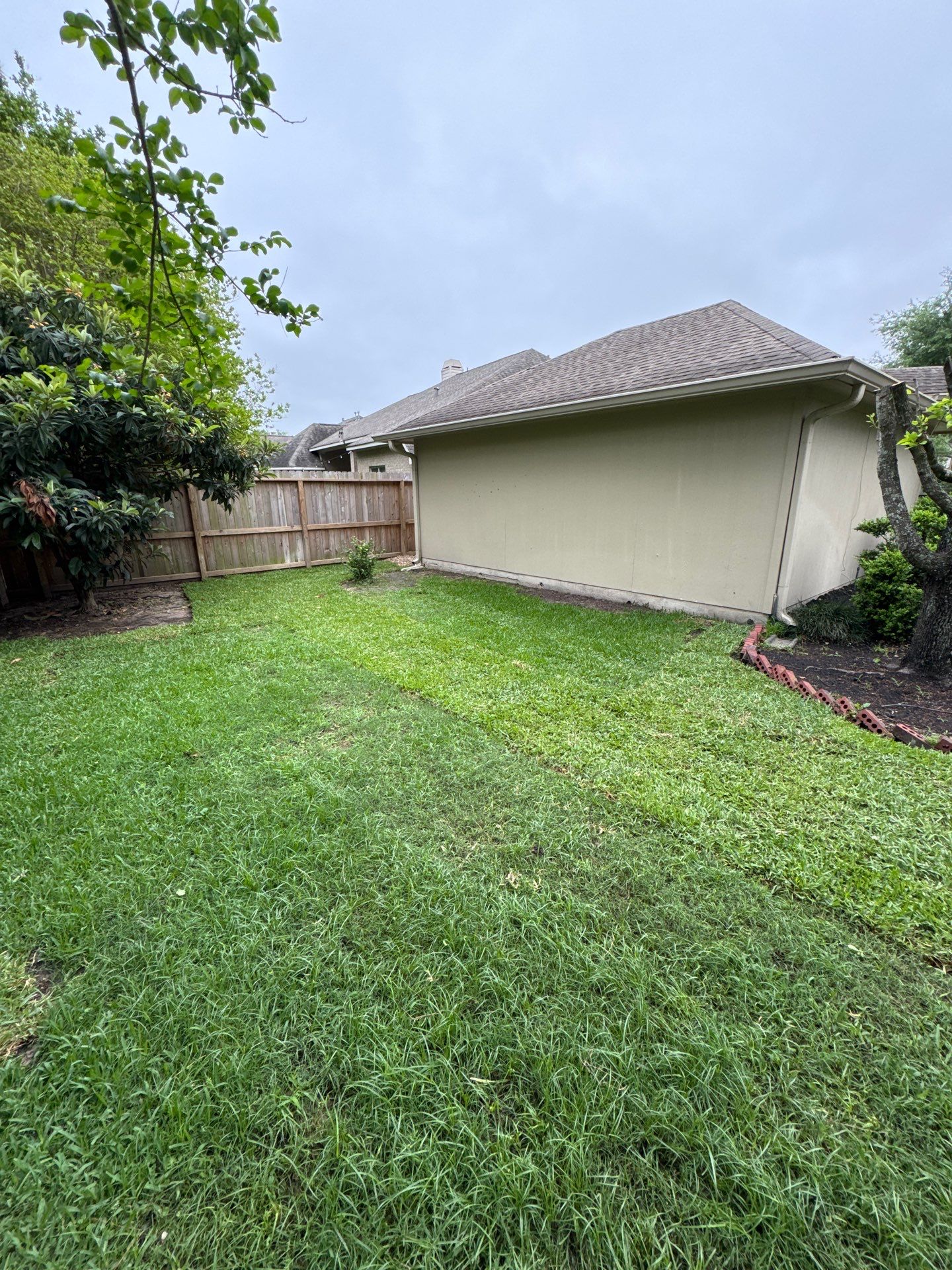 🌿 Mrs. Coleman’s Lawn & Drainage Restoration by Texas Urban Elements