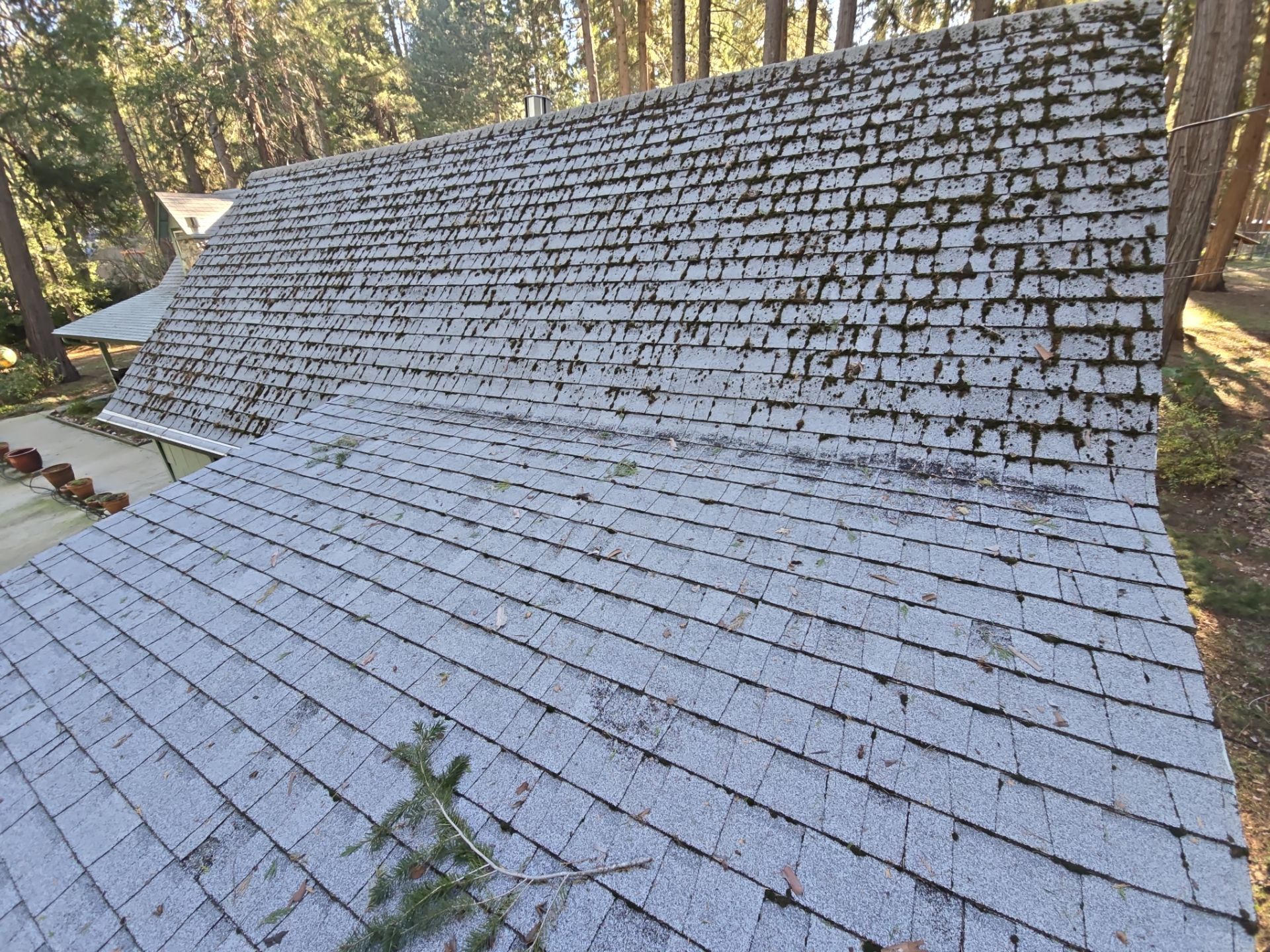 Roof Rejuvenation using Roof Maxx Treatment by Roof Maxx of Folsom