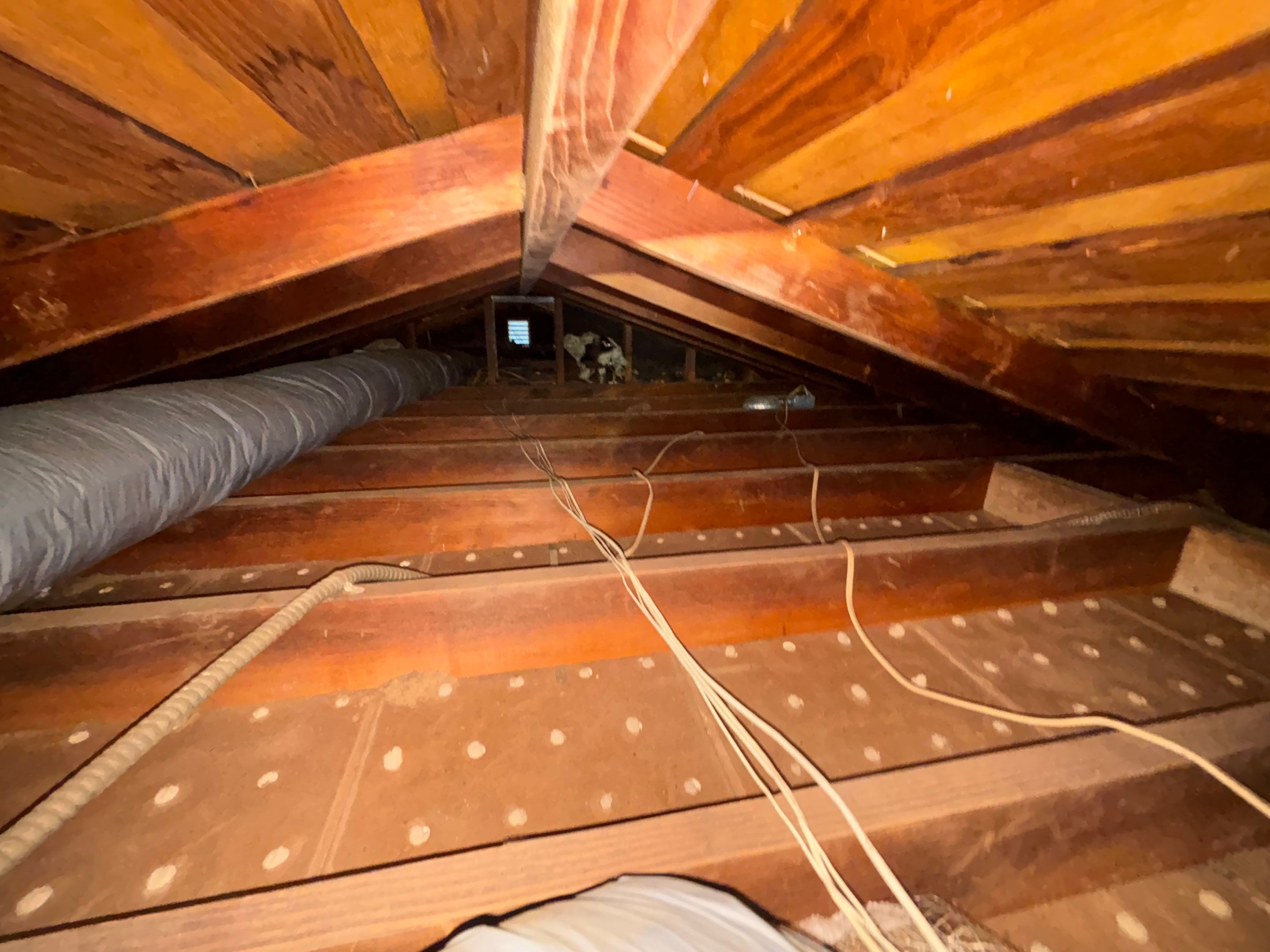 Attic Project in Sherman Oaks by Insulation Labs