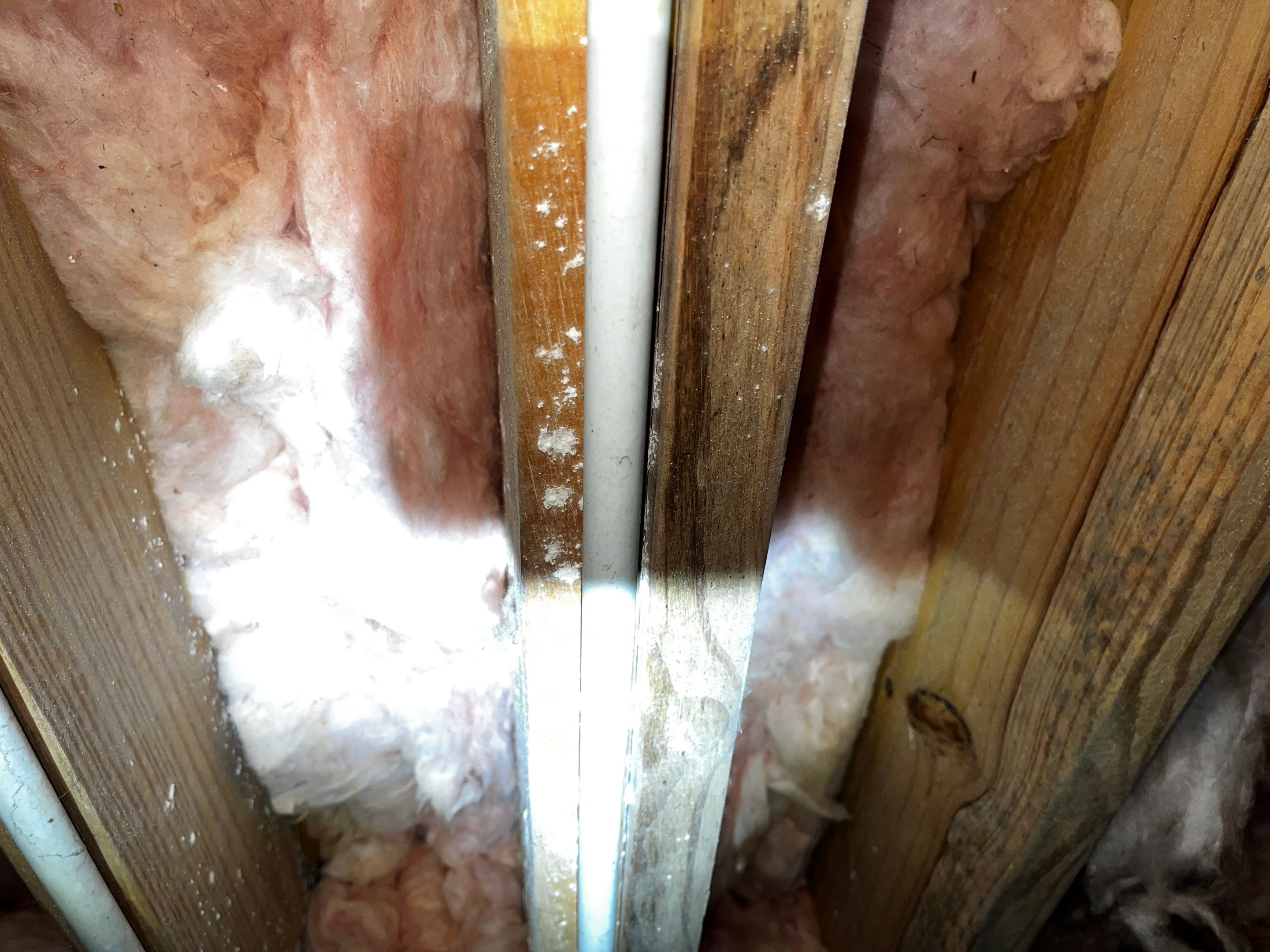 Impact Choice Encapsulation with Mold Removal. by Impact Crawlspace