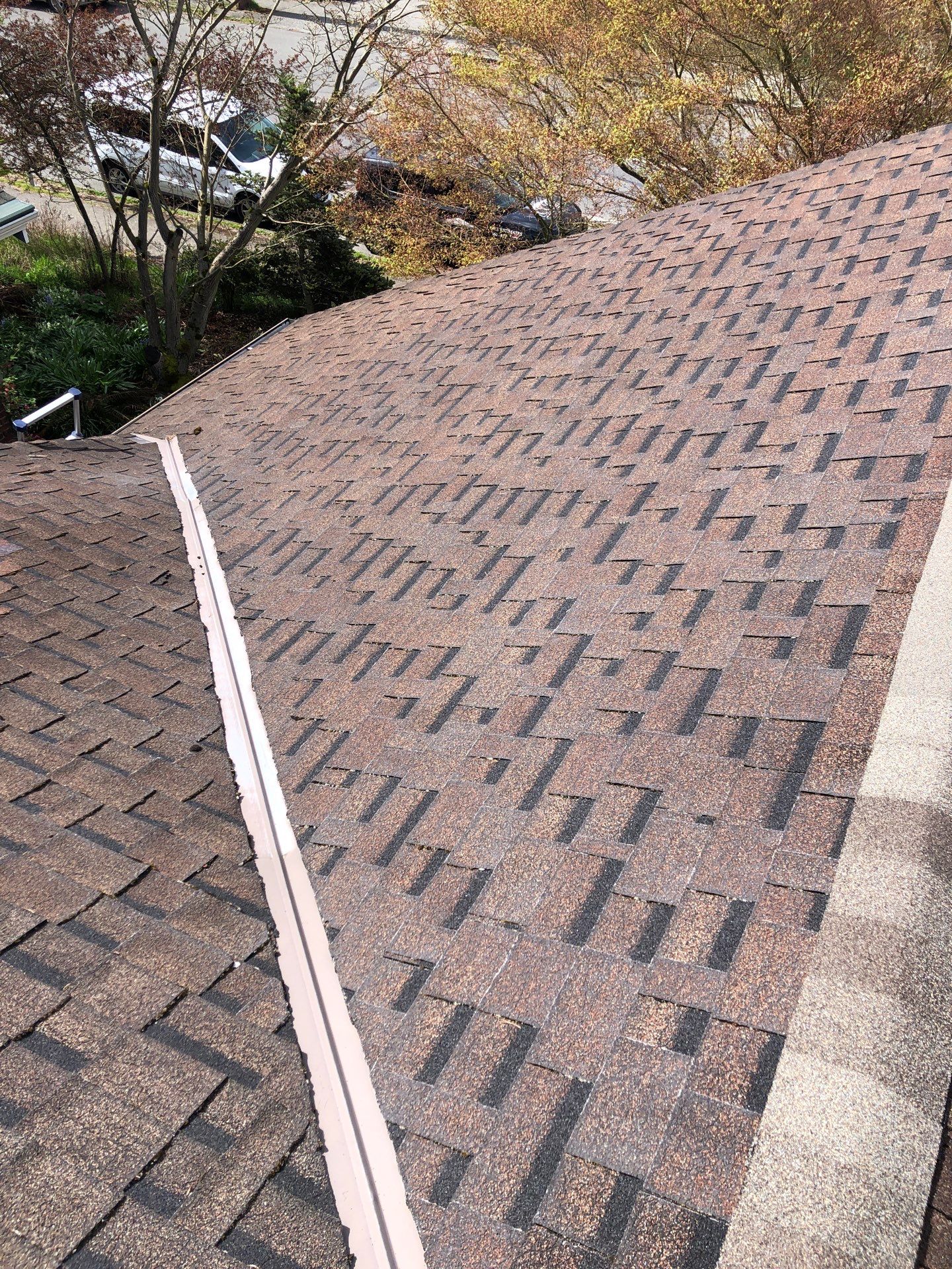Project in Seattle by Peaks and Valleys Construction