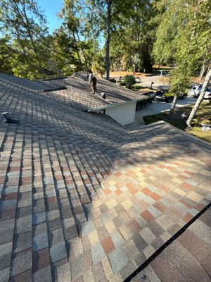 GAF HDZ - Golden Harvest