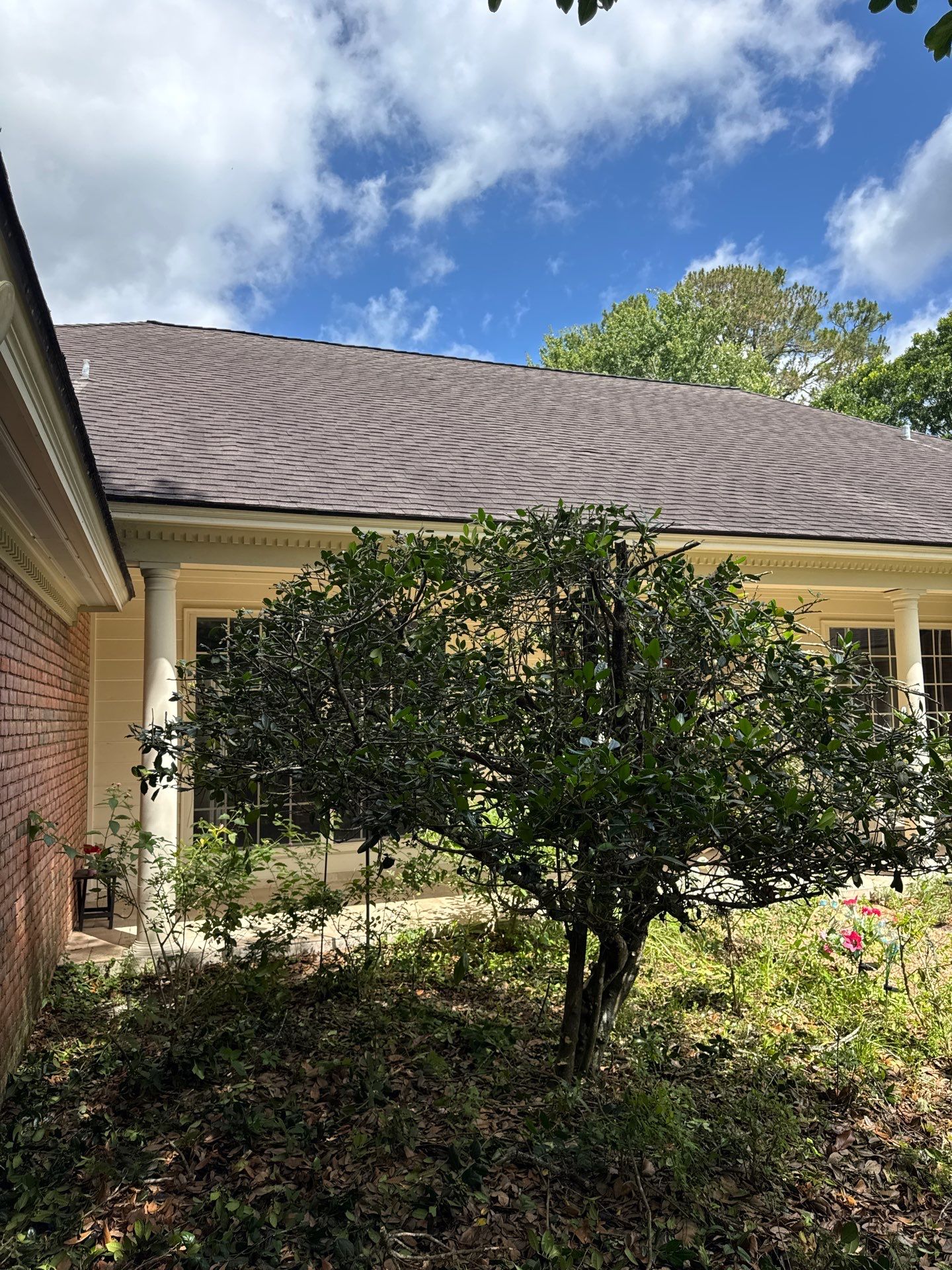 Deerwood Resident | Tree Trimming by ProGreen Services