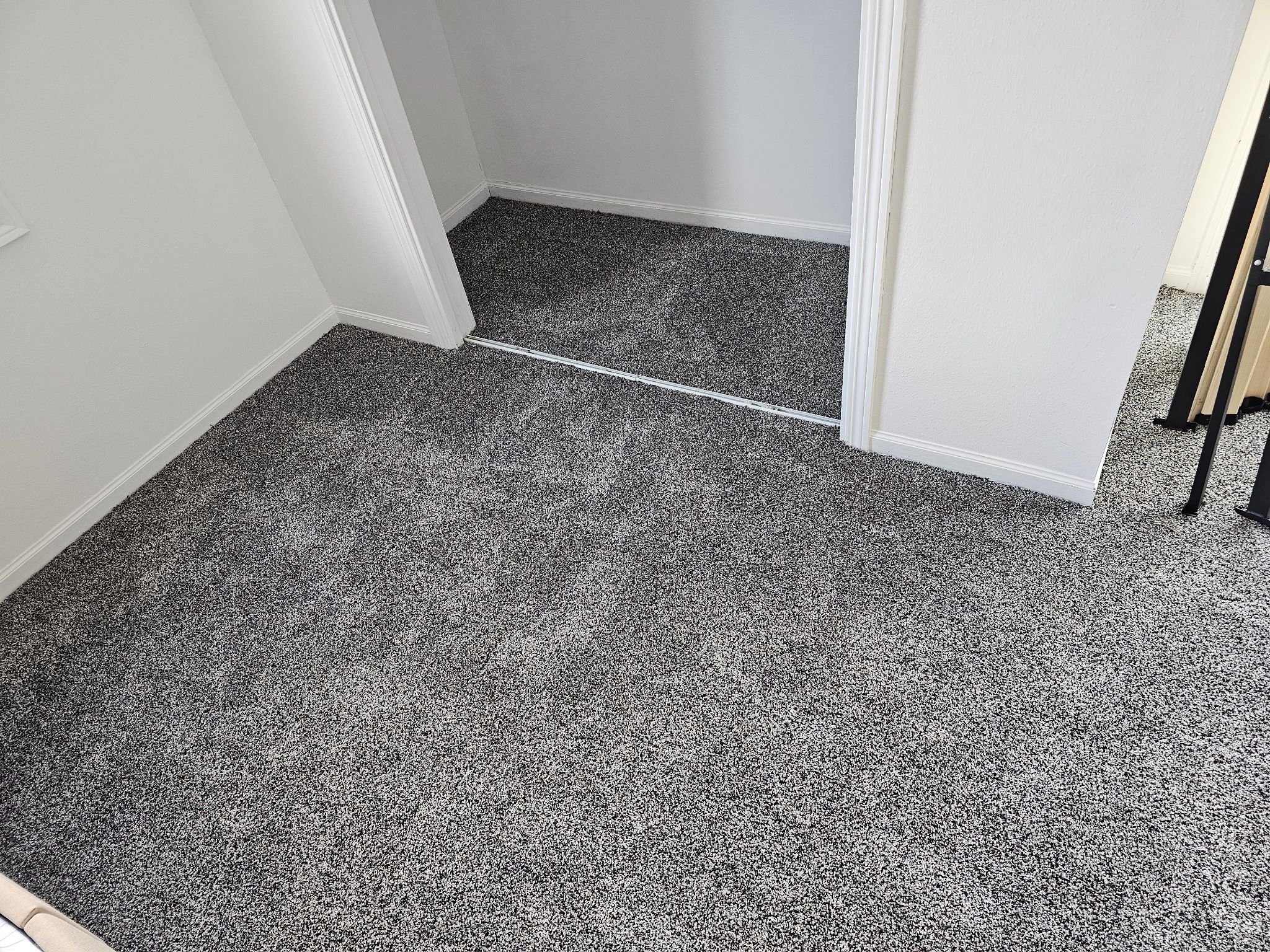 Fresh Carpet, New Comfort in Elwood by Loyal Nine