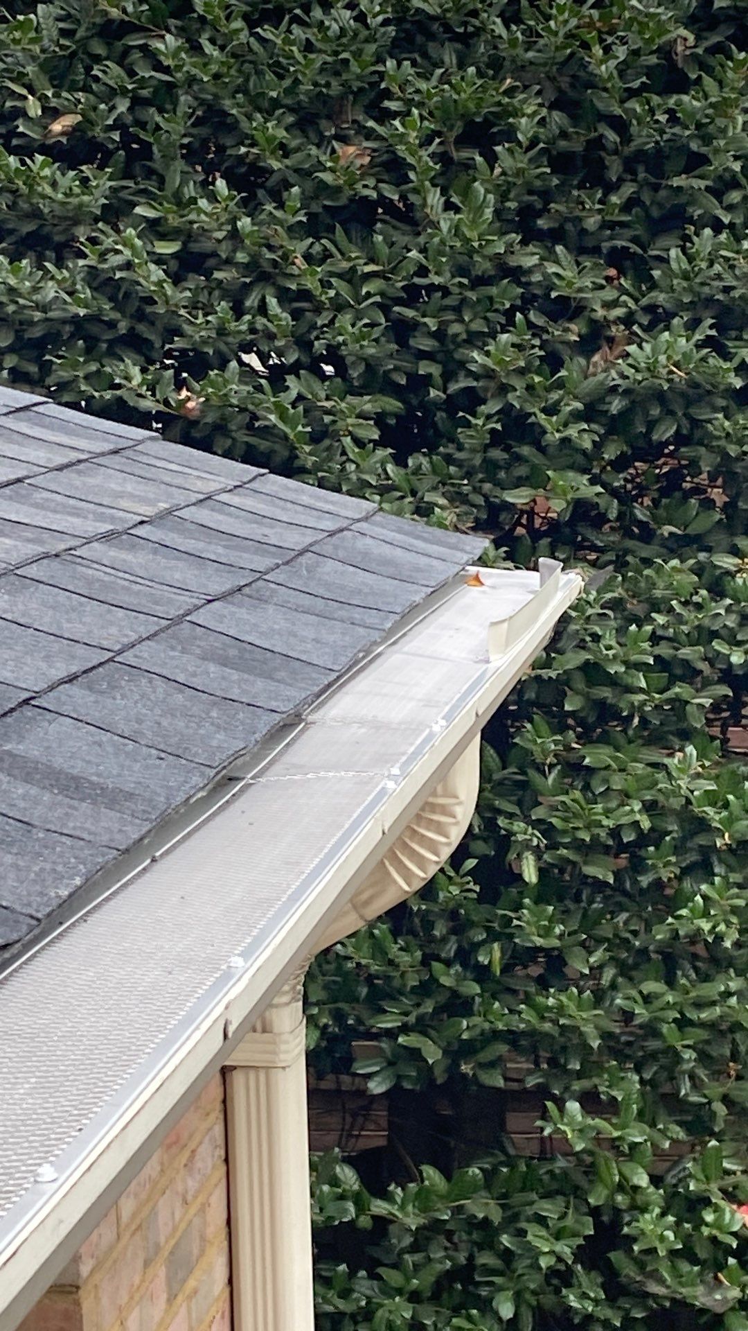 Alexandria: Residential Roof Replacement with CertainTeed Landmark Pro Designer Shingles in Max Def Moire Black by RM Banning, Inc.