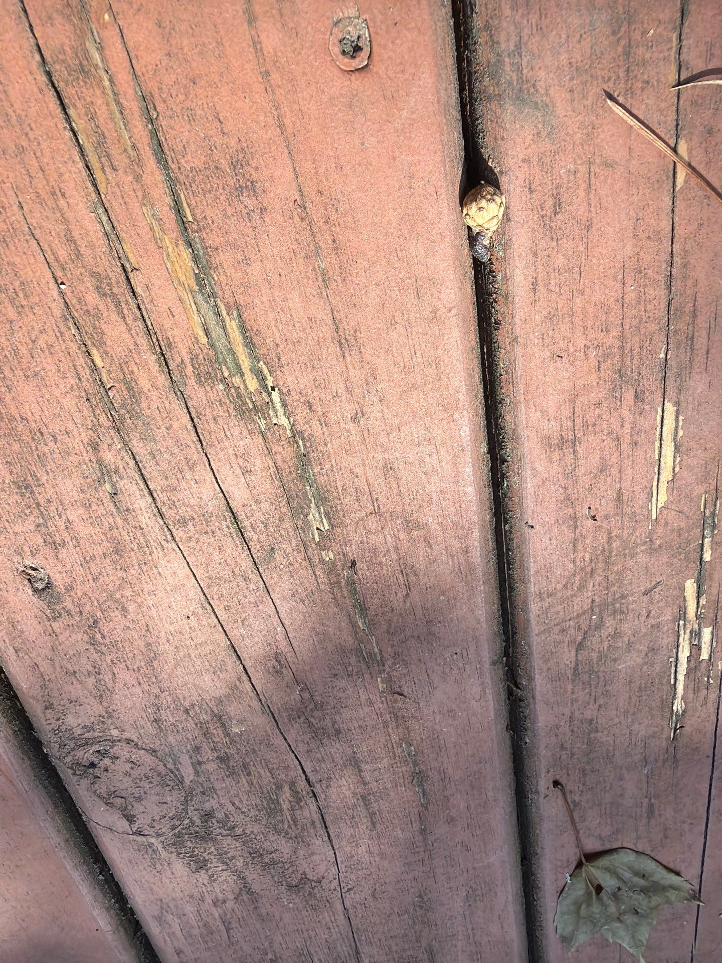 Deck using Wood Sealant by DuraSeal