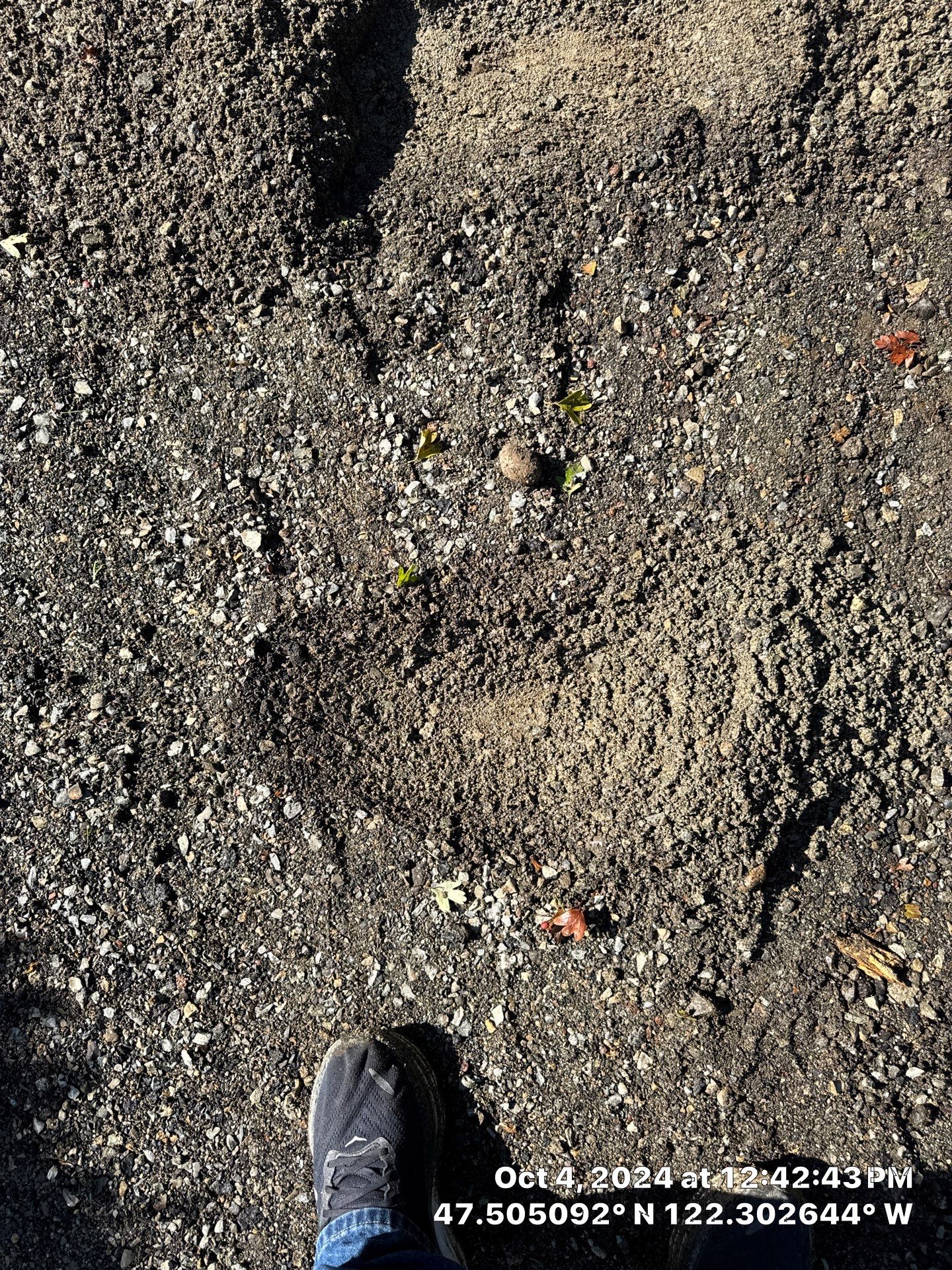 Asphalt Driveway Installation | Seattle  by Jireh Asphalt & Concrete Inc 