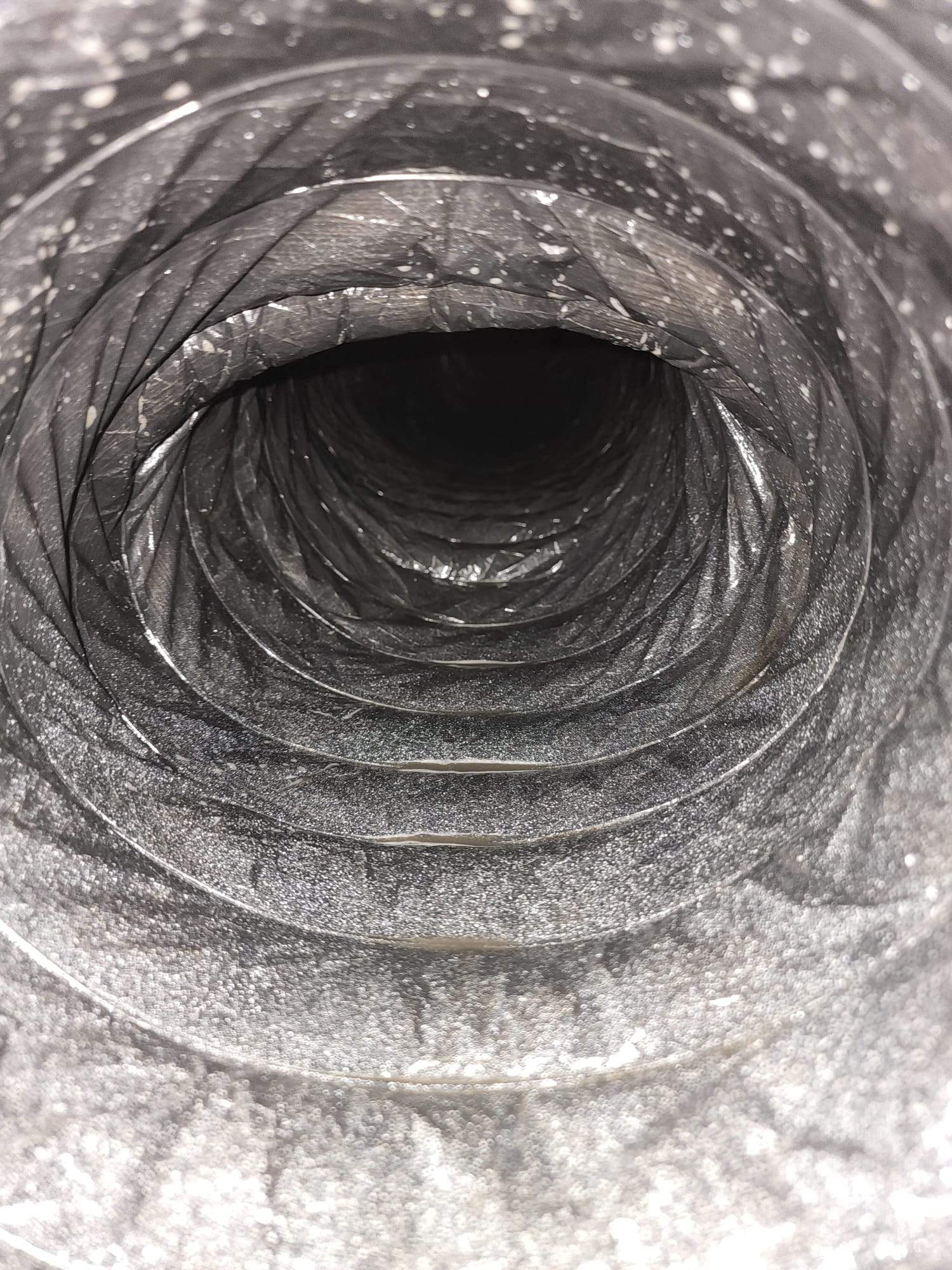 Holmes Beach AC Mold Deep Cleaning by Ampm Restoration Services