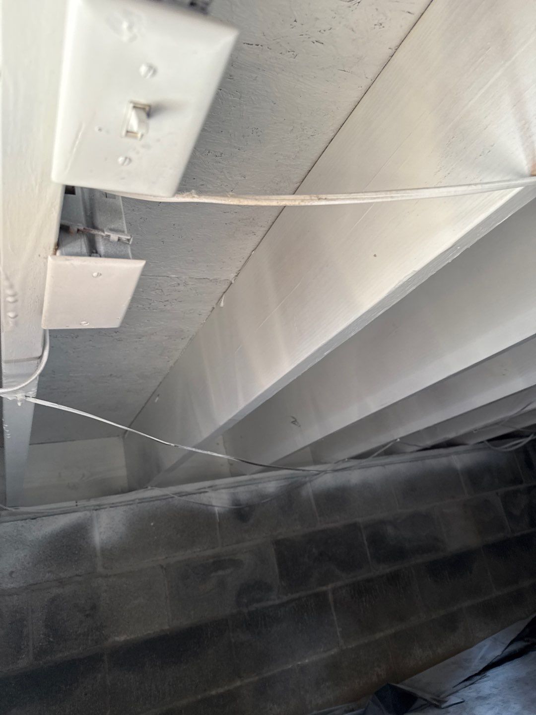 Real Estate Mold Remediation by Healthy Home Solutions