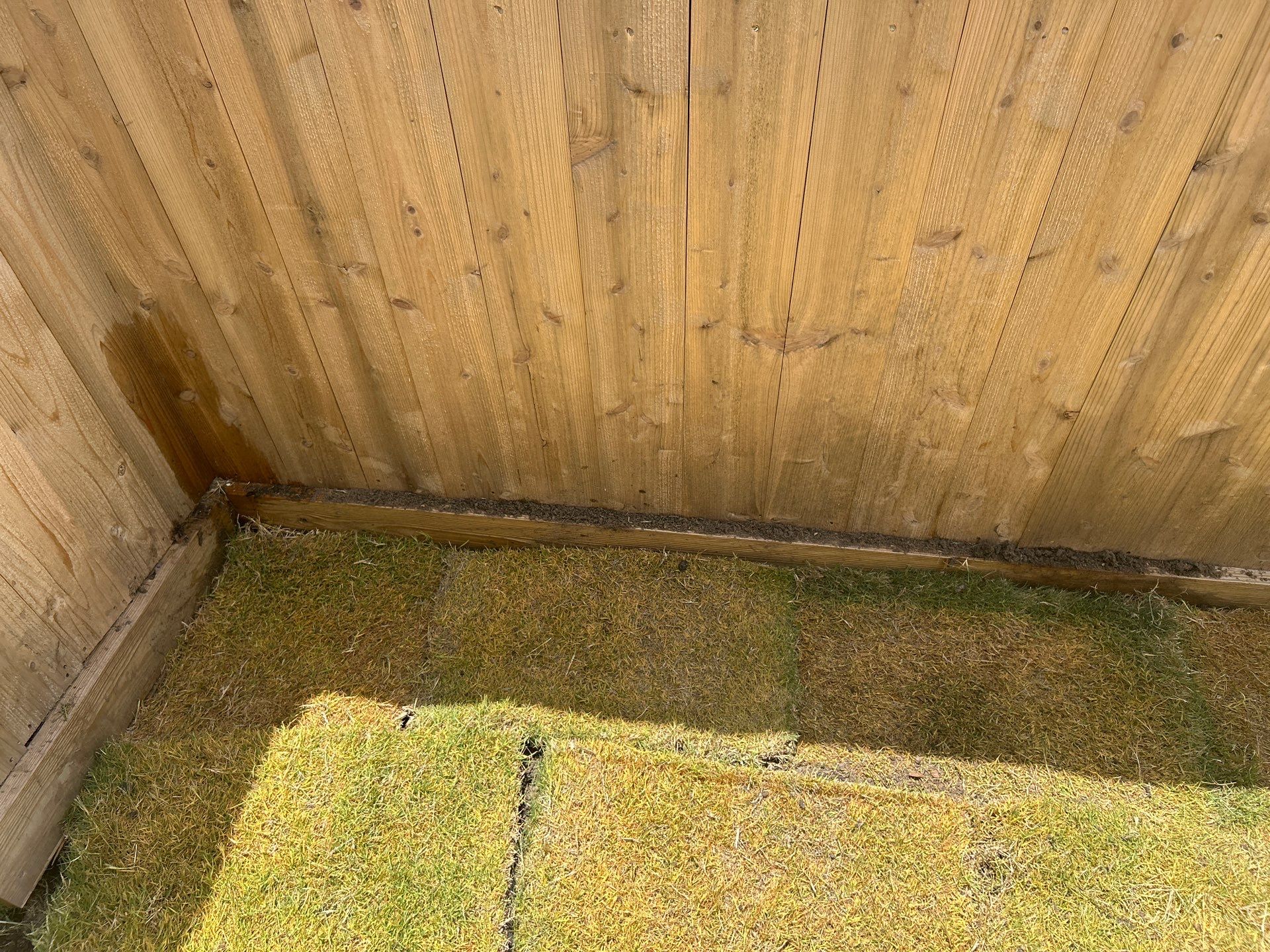 🌿 Mr. Rajaram’s Lawn Transformation by Texas Urban Elements
