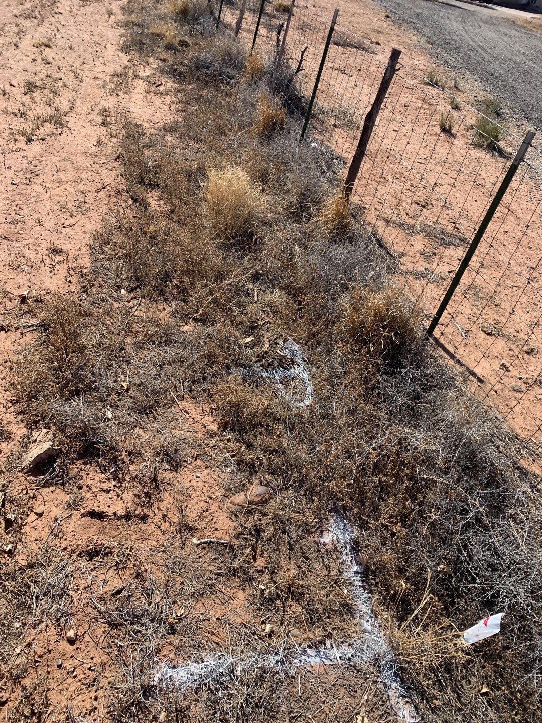 Light Commercial using 6' Pro-panel by Valley Fence Company