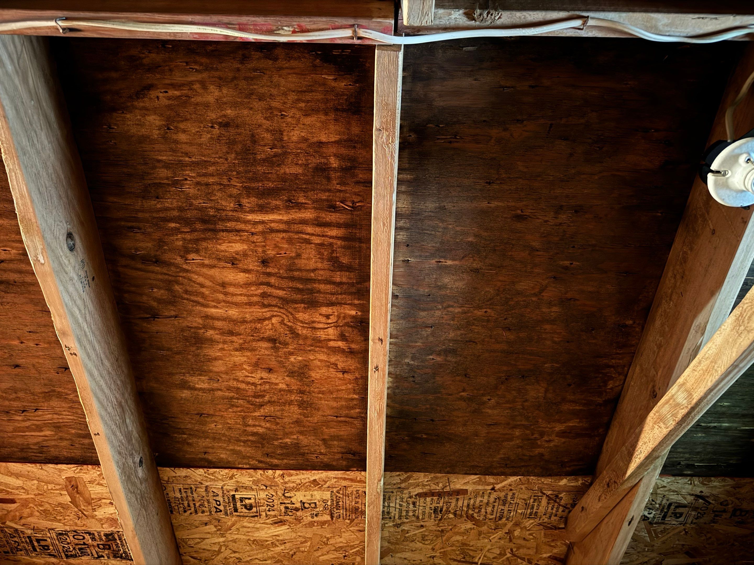 Attic Mold Remediation by Home Guarantee, LLC