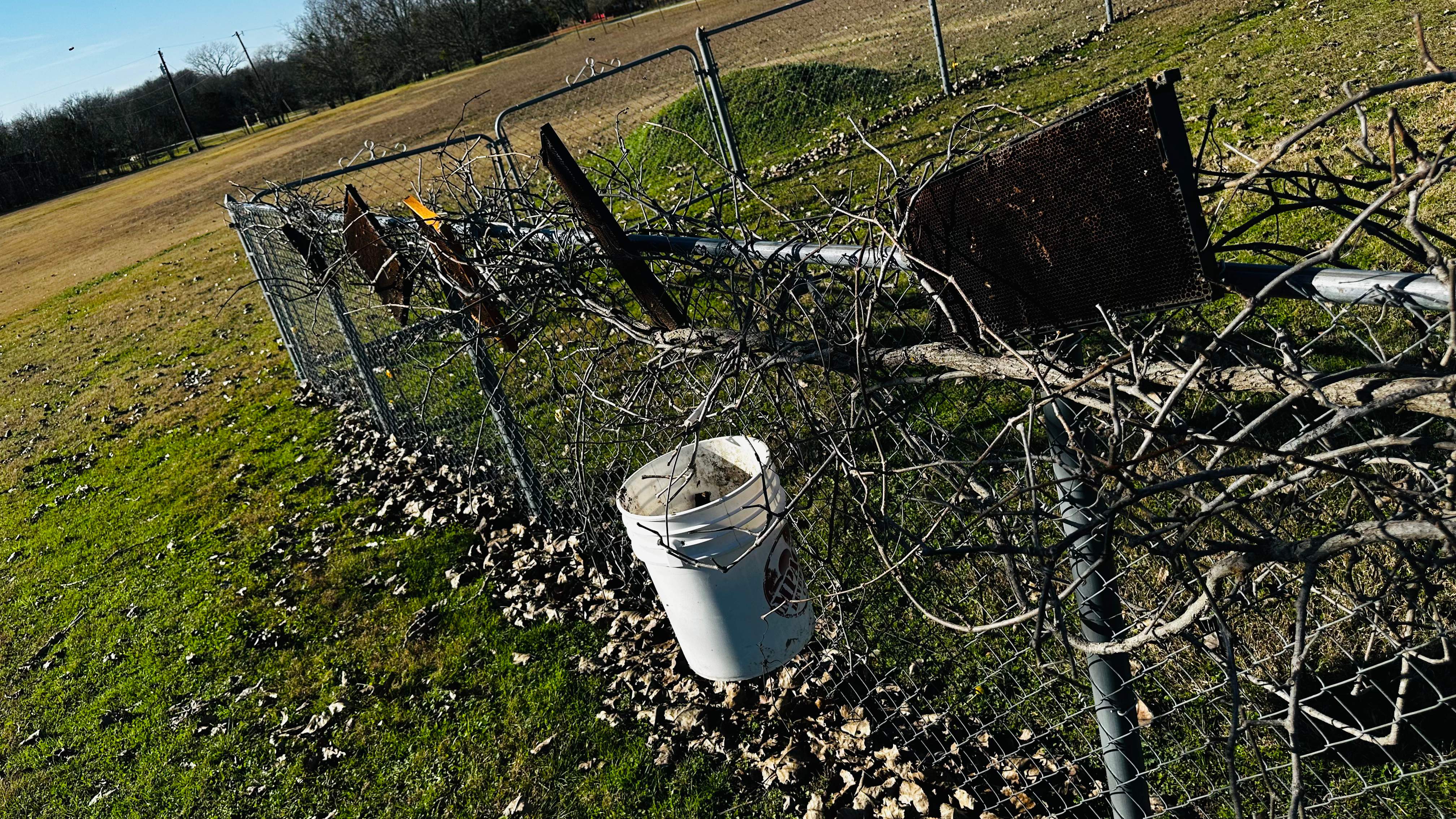 Rockwall Honey Bee Company HQ by Rockwall Honey Bee Company