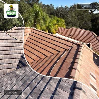 Flat Tile Roof Cleaning