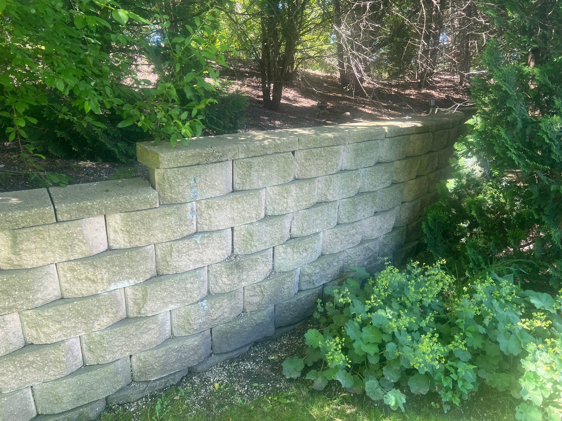 concrete cleaning using Algaecide, soft wash soap by Northern Power Washing LLC.
