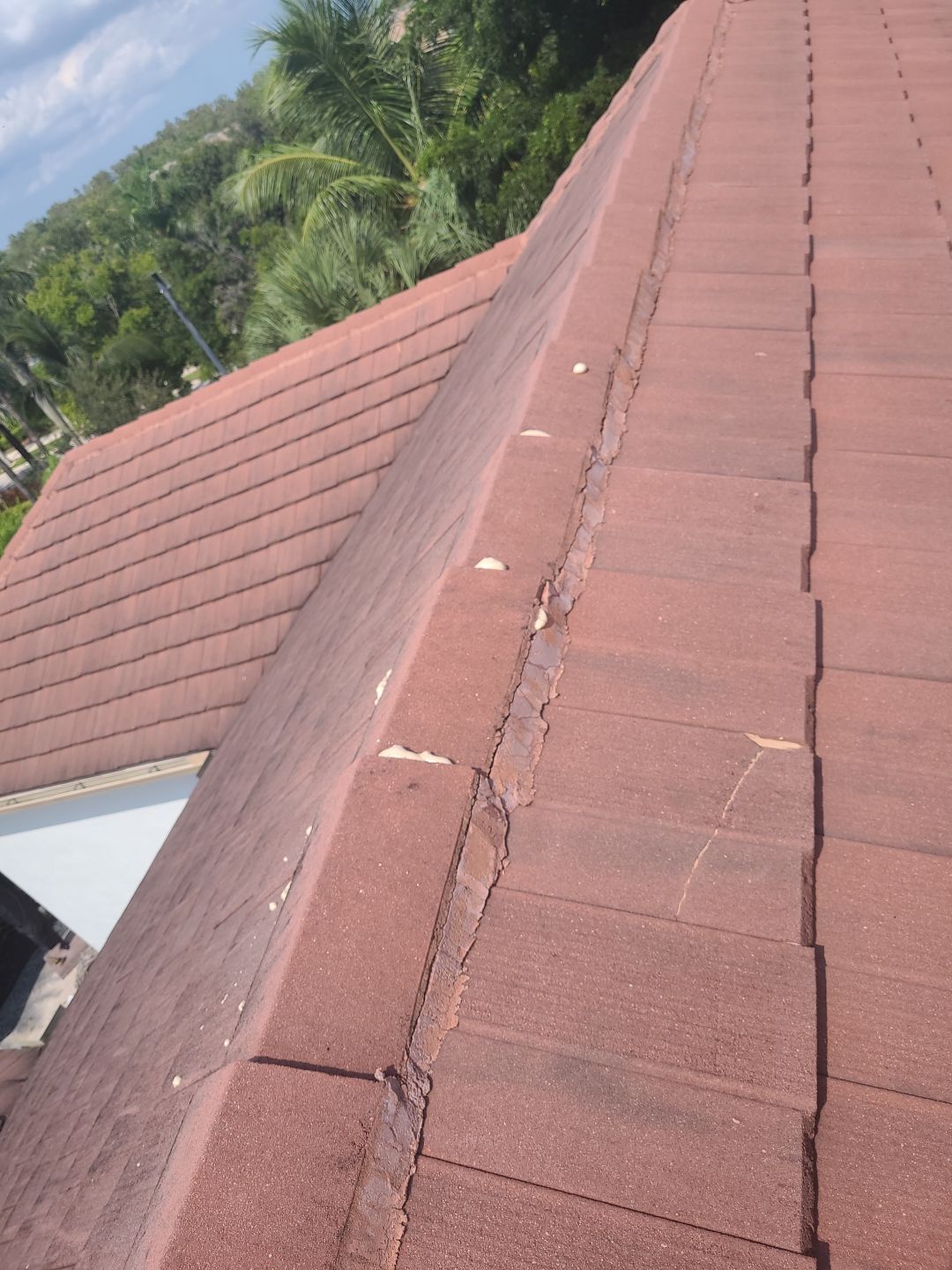 Tile Roof Repair in Wellington – Expert Craftsmanship & Reliable Service by Aastro Roofing