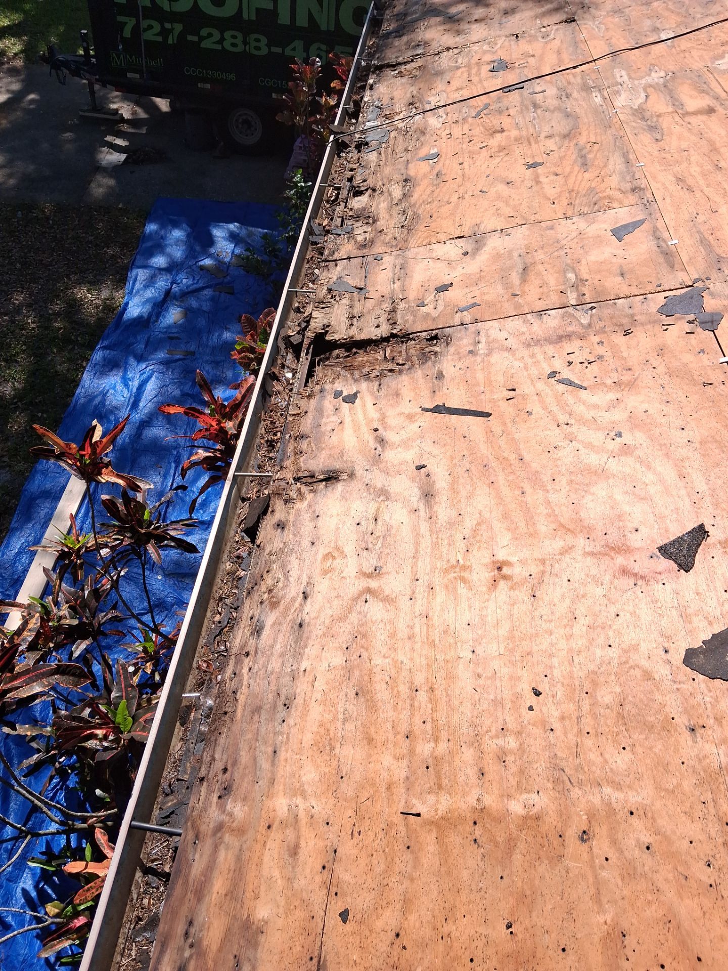 Project in Clearwater 33761 by Mitchell Roofing Company LLC