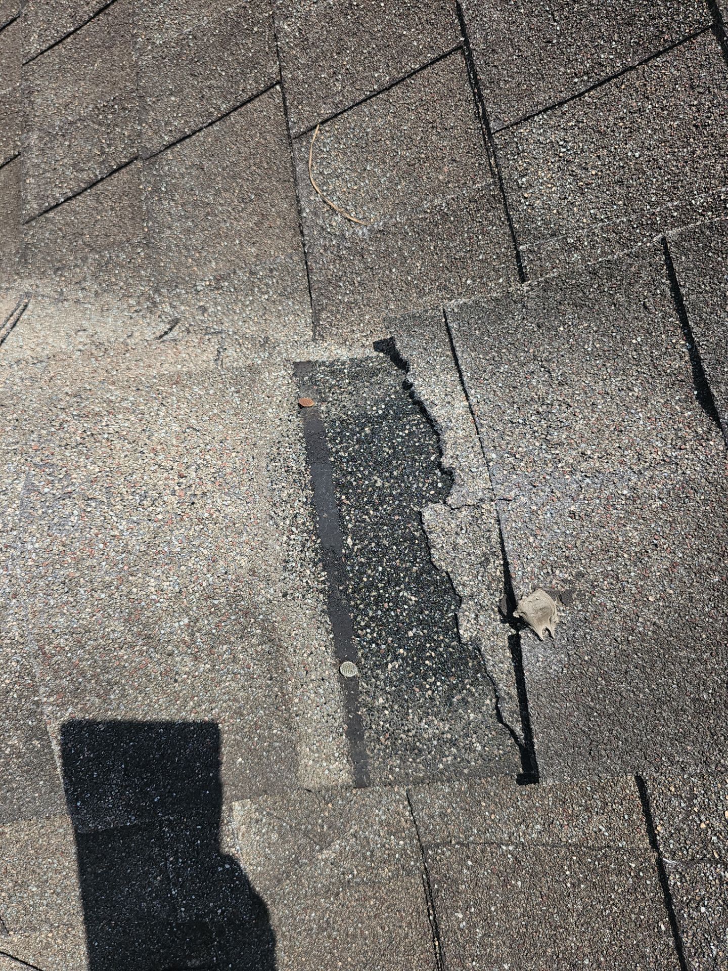 Hail Damage using Owen's Corning Duration (Lifetime) Shingles by Roof Repair Company