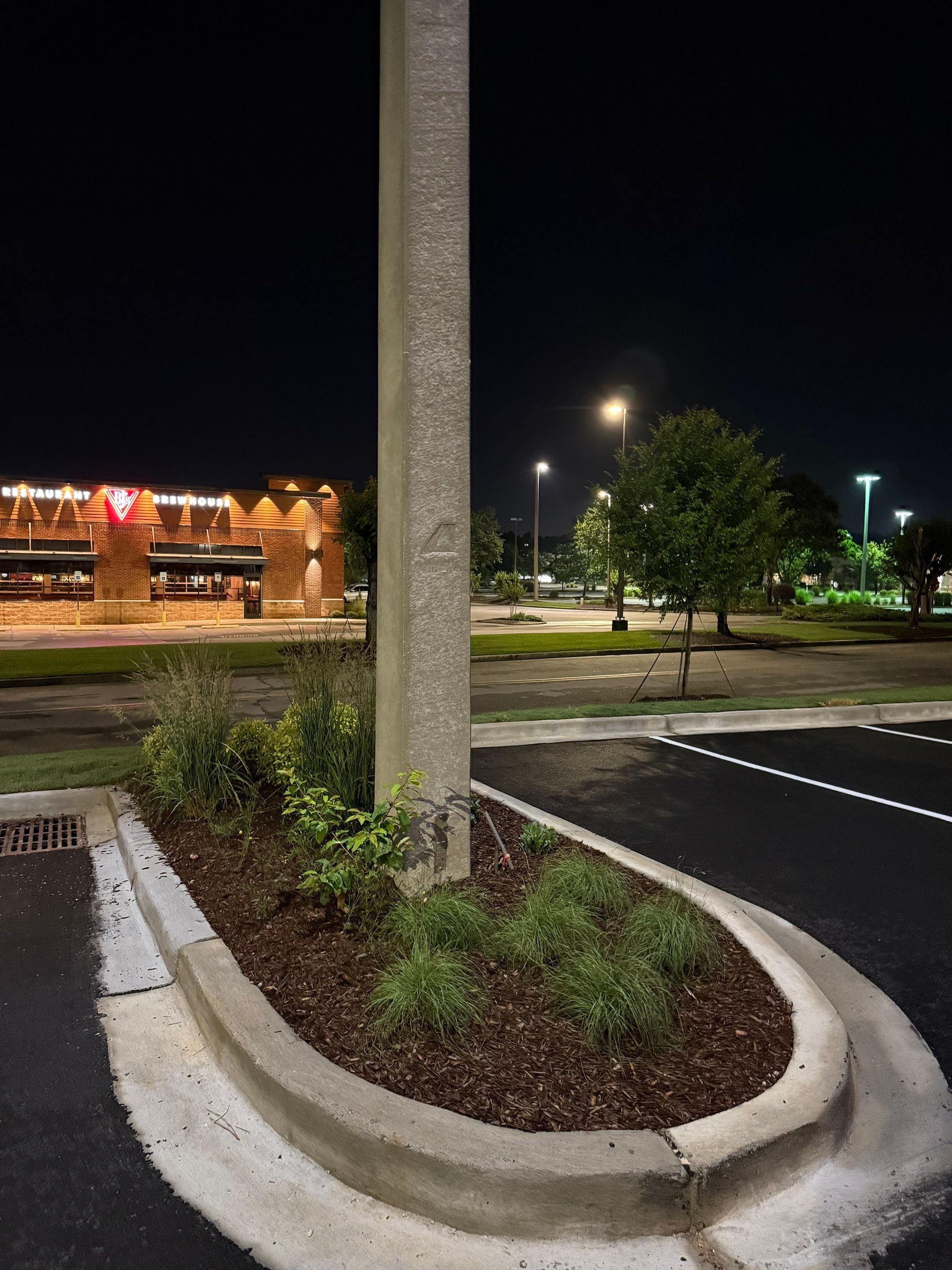 FTB Haribson Bank Project Columbia SC - (Commercial) by Carolina-Metro Landscape, Inc