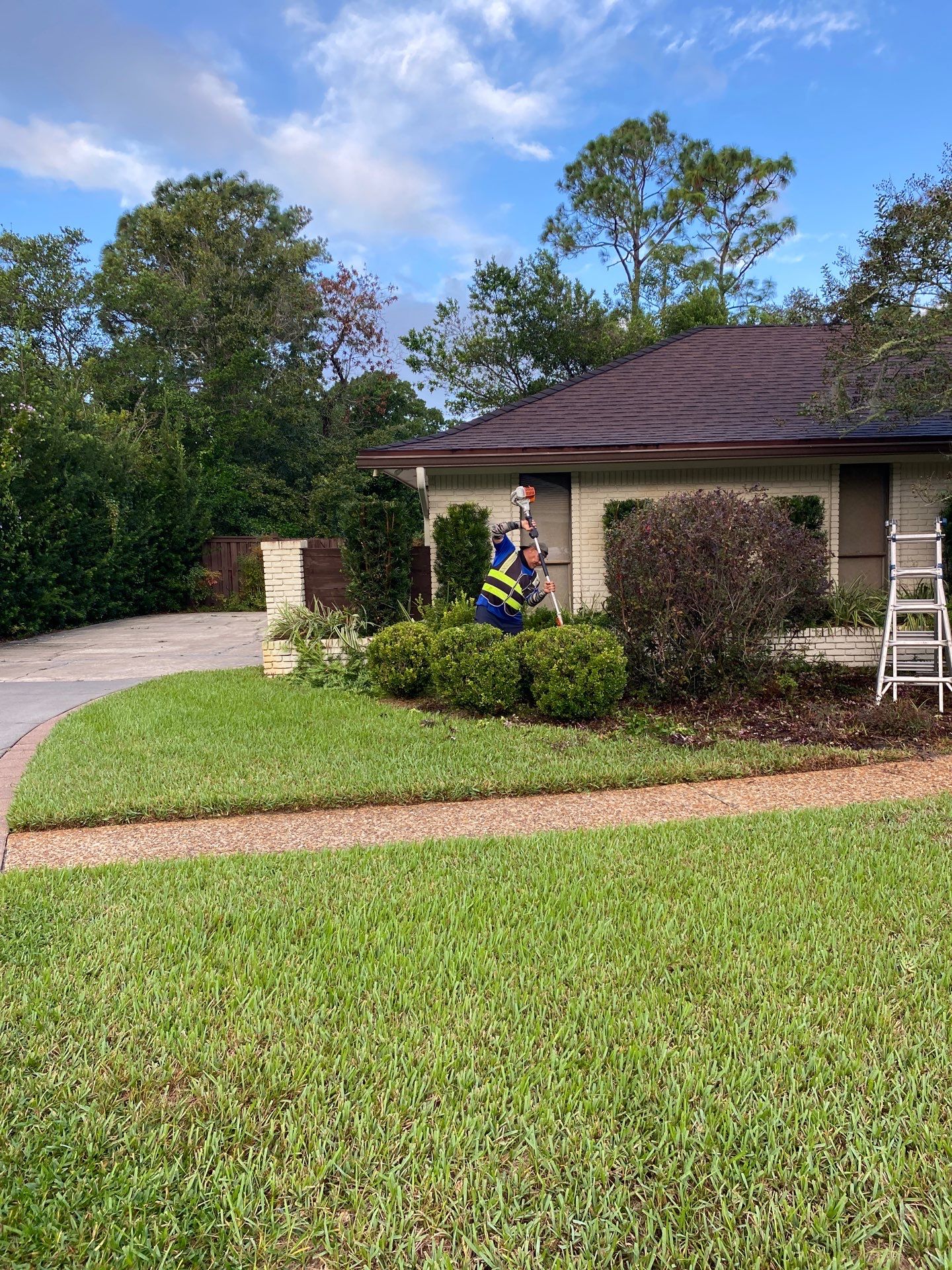 Deerwood Residence | Extreme Clean Up by ProGreen Services