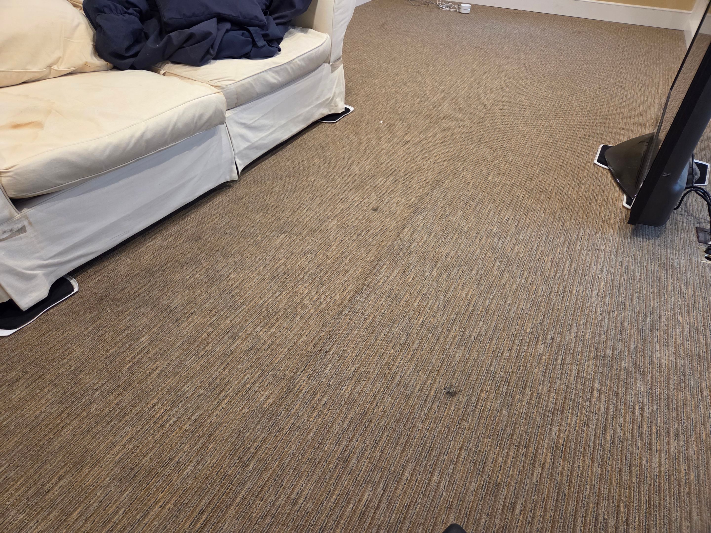 Garage Loft, Carpet Re-stretch & Cleaning by Ardent Carpet Restore LLC