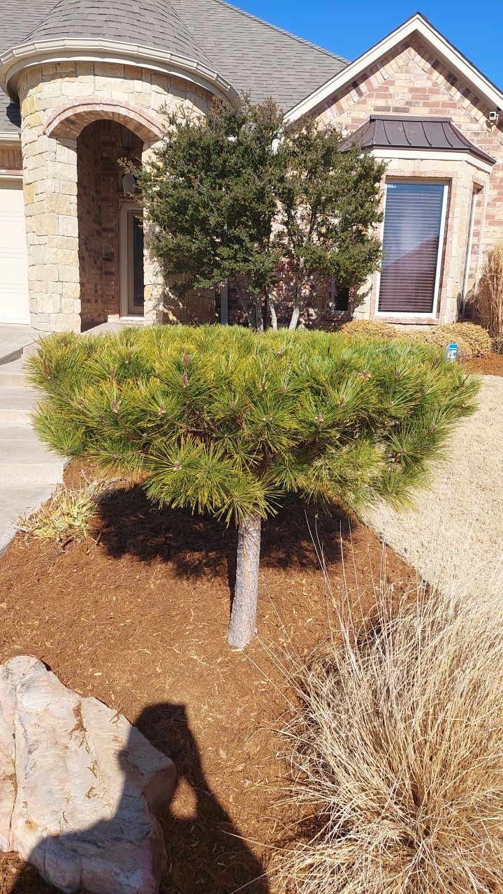Concrete Slab , Retaining Wall , Fence, and landscape. by Clays Services Inc
