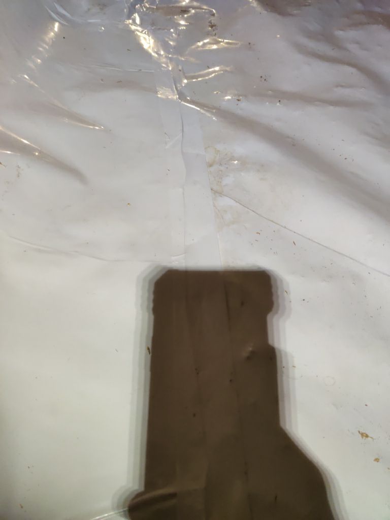 Crawl Space Cleanup using Encapsulate by Accountable Home Services