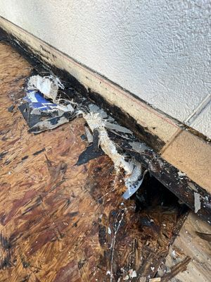 Roof Repair The Woodlands